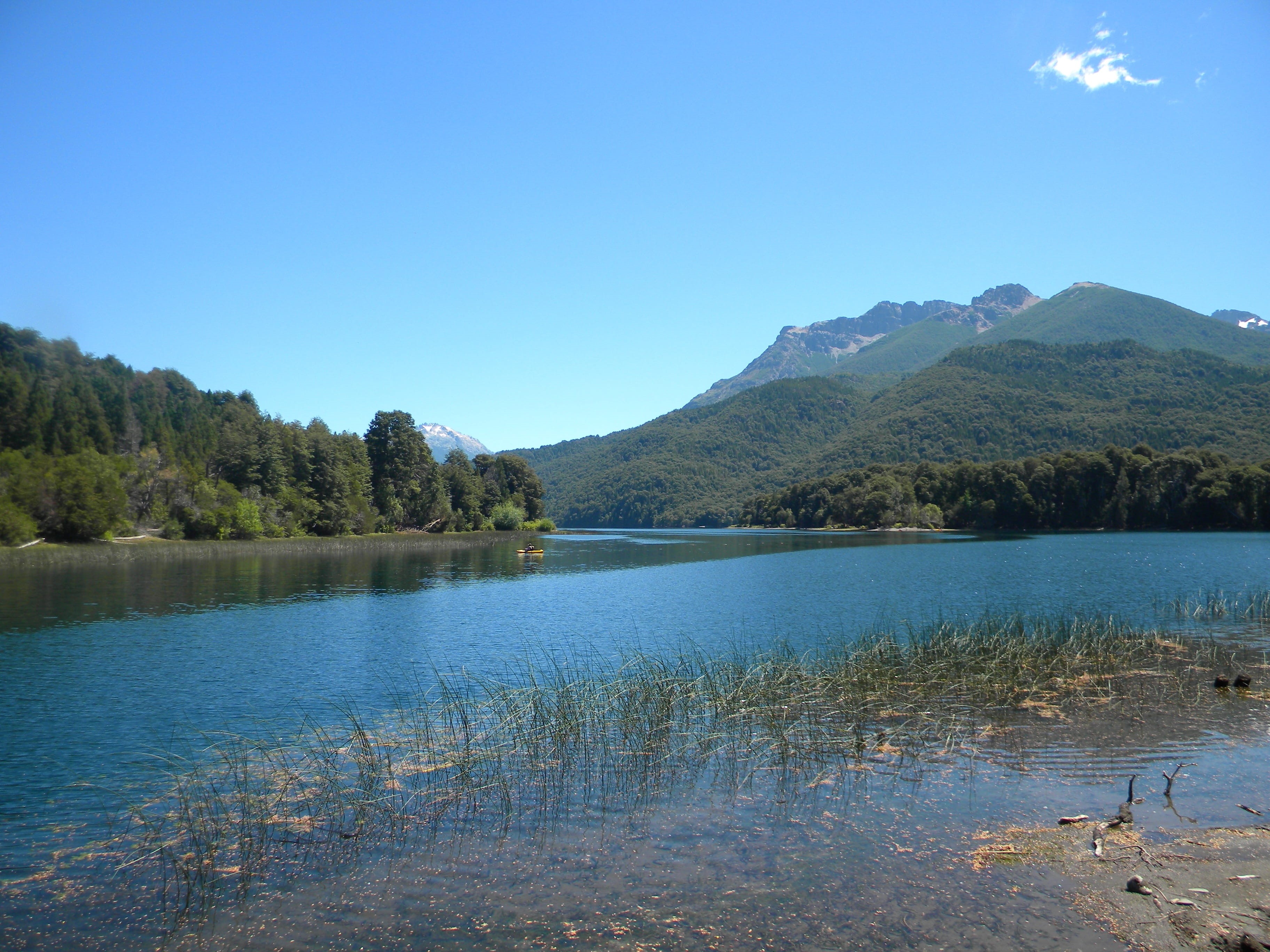 tree, Lake, outdoors, scenics, beauty in nature, mountain range, copy space, no people, blue, Bariloche, water, non-urban scene, Patagonia, plant, nature, HD Wallpaper