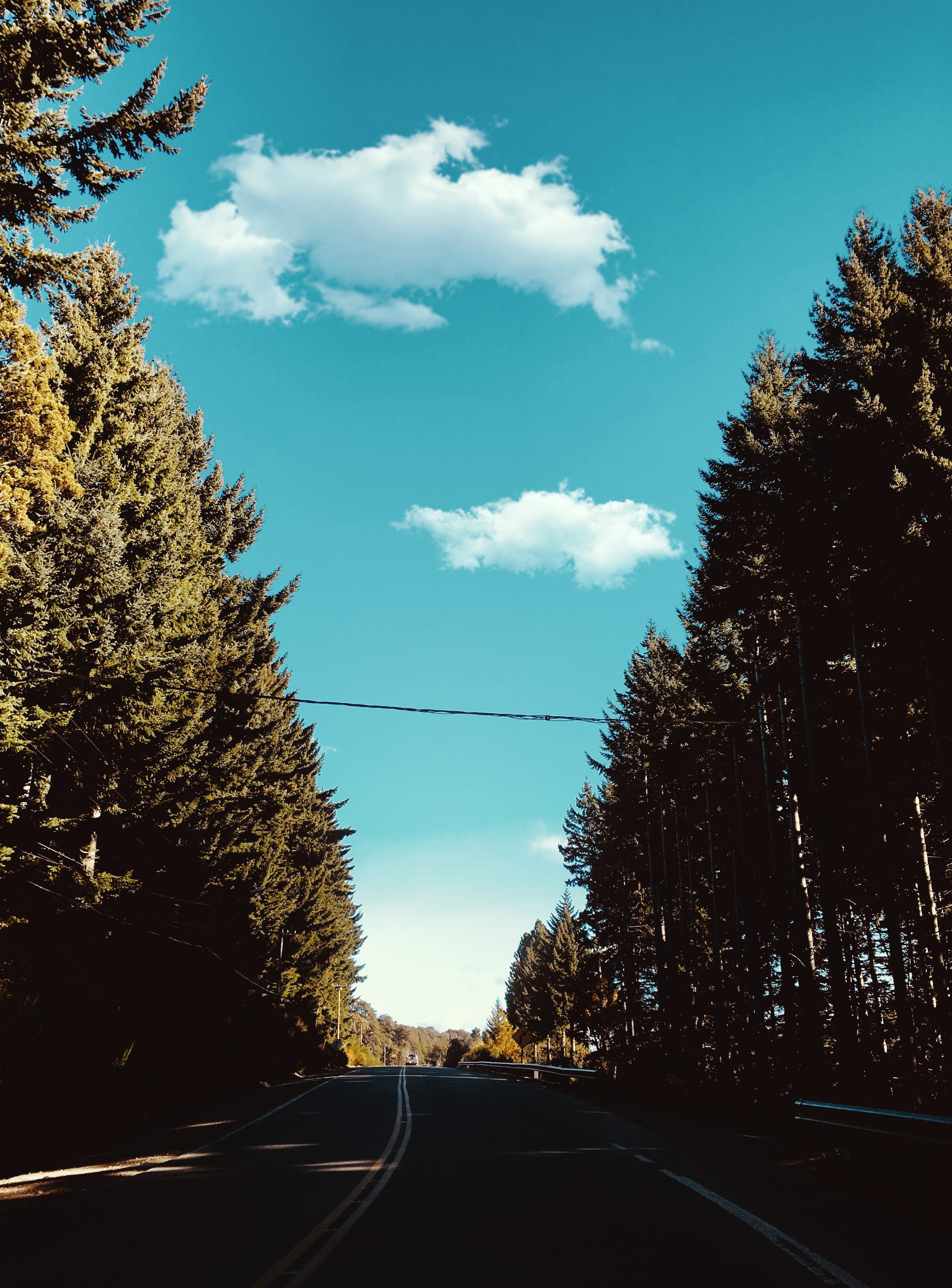 nature, shadow, flora, landscape, day, surrounded, sky, argentina, no people, road marking, concrete, travel, outdoors, road, road trip, blue sky, san carlos de bariloche, Phone HD Wallpaper