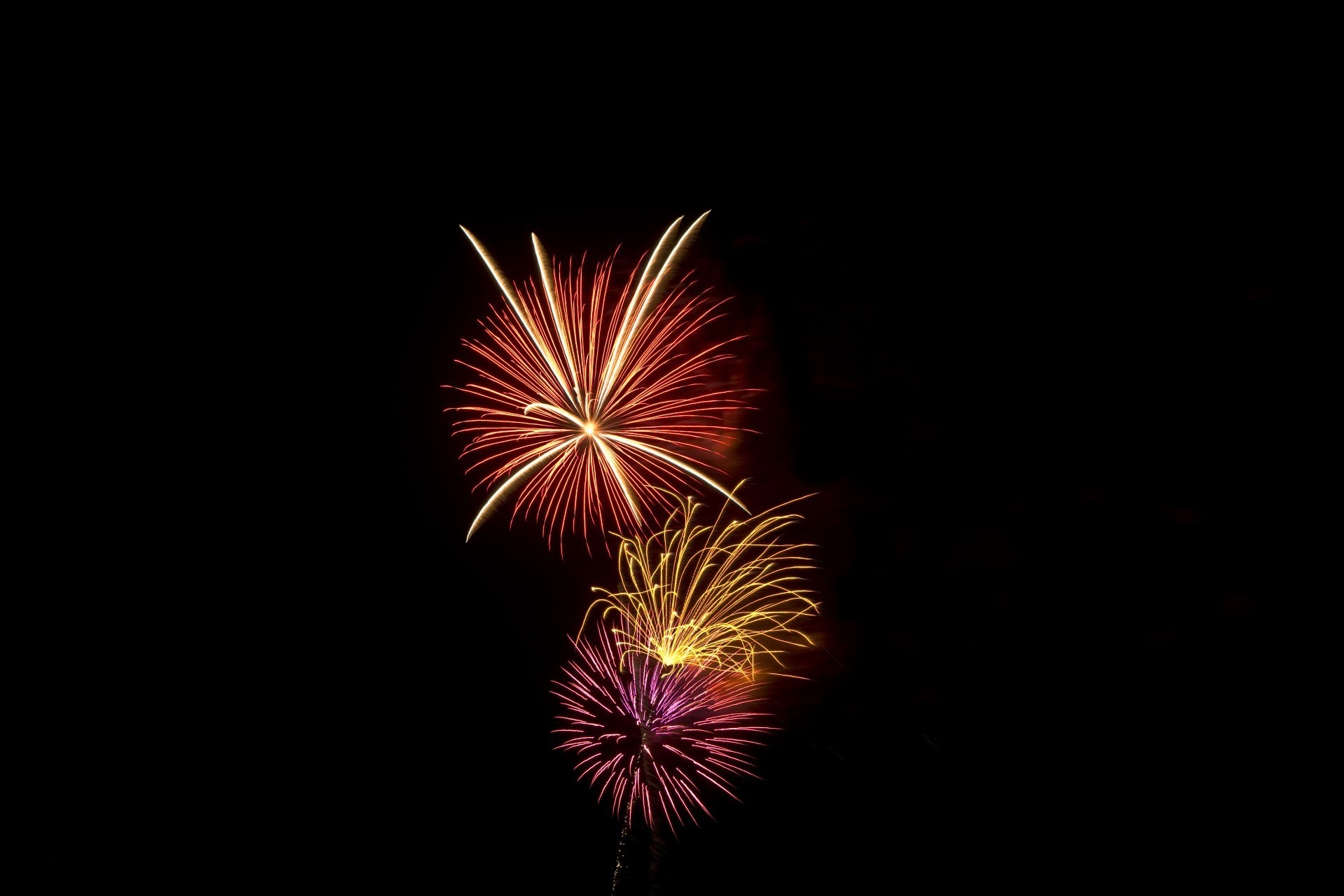no people, firework, multi Colored, nature, independence, festive, pyrotechnics, party - Social Event, fourth, explosion, red, low angle view, america, HD Wallpaper