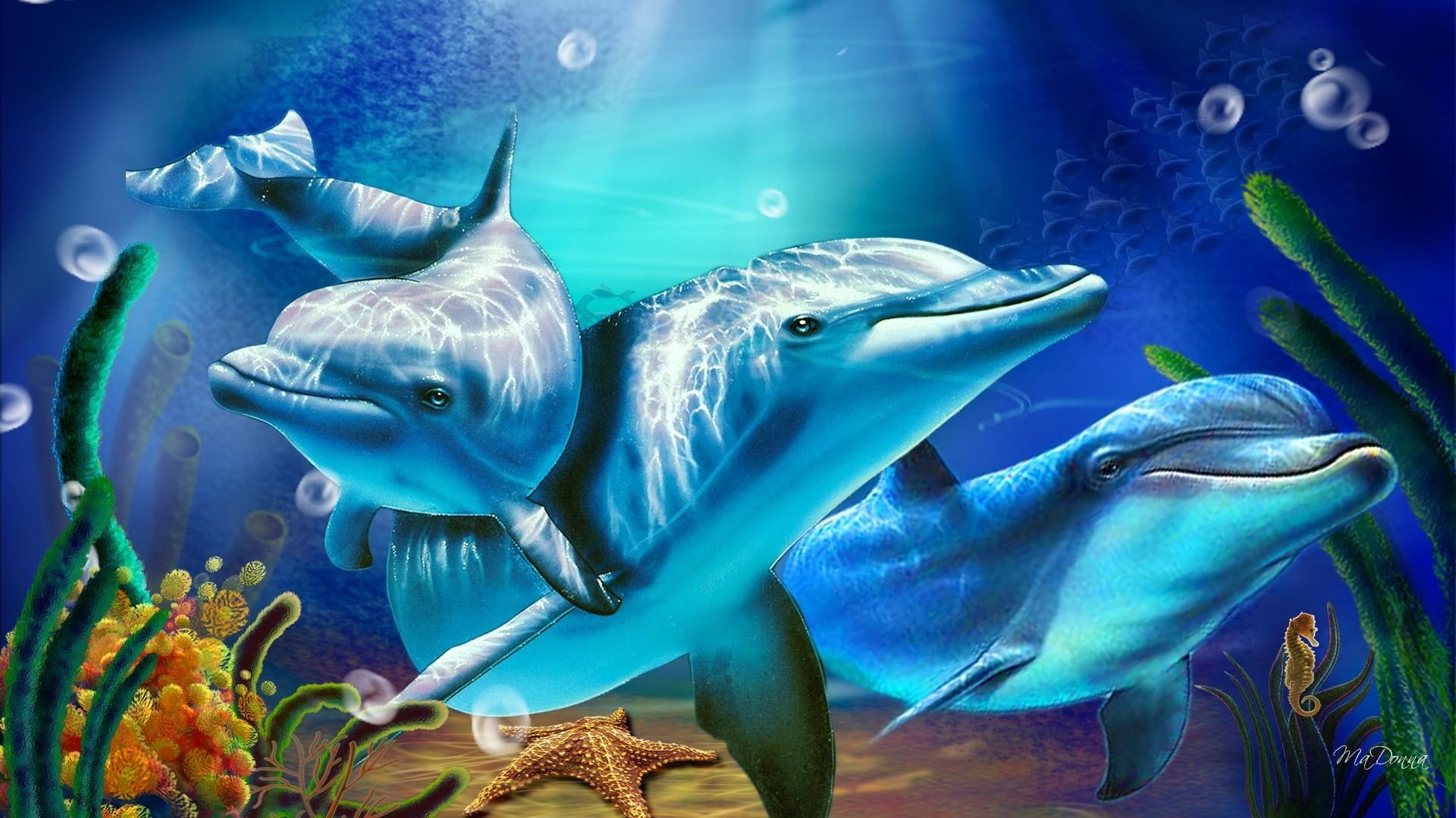 coral, sun rays, star fish, sunrays, bright, sun beams, sunbeams, dolphins, underwater, bubbles, 1080P, HD Wallpaper