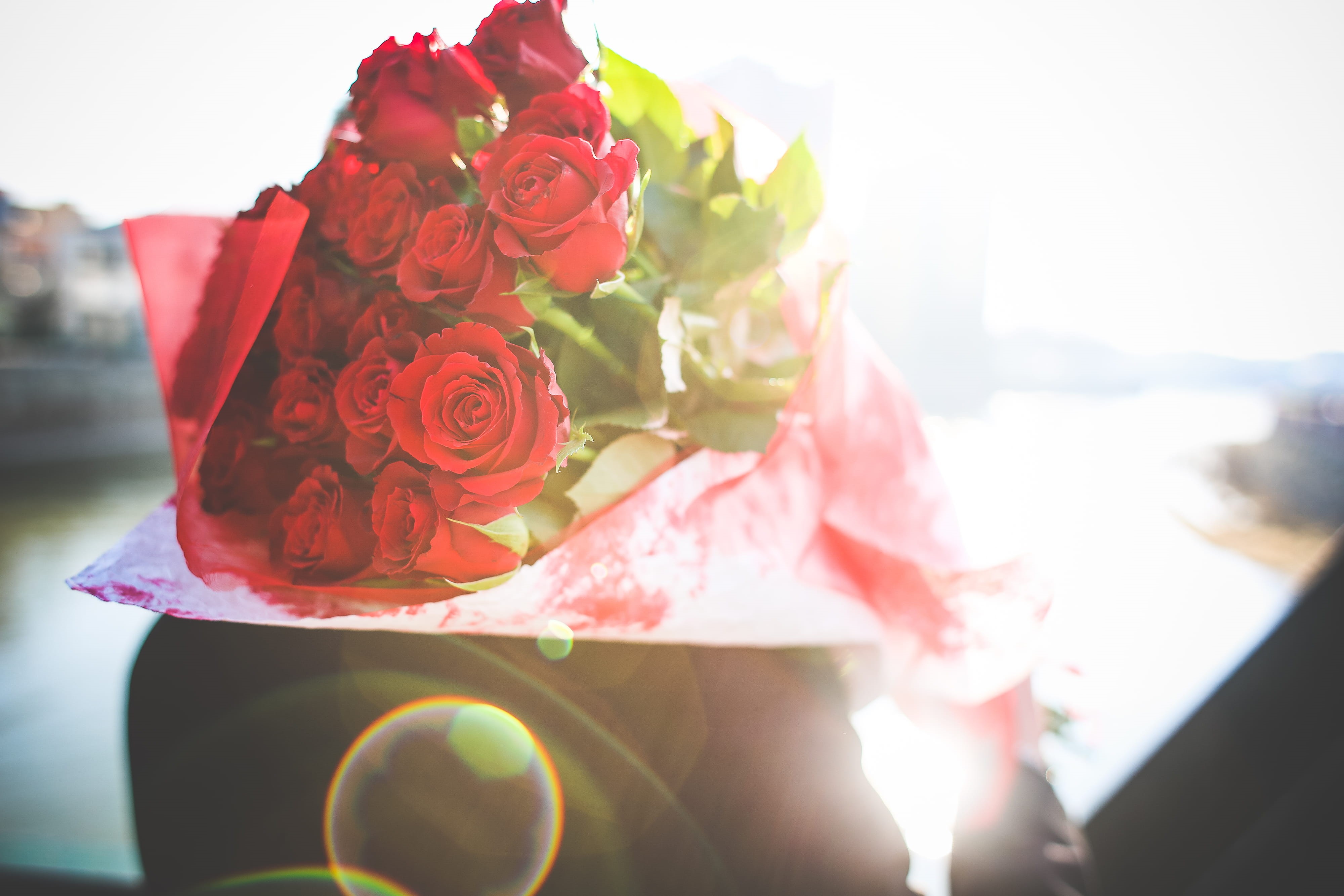 man, saint valentine, life events, outdoors, vulnerability, fragility, gift, bouquet, rose, freshness, wedding ceremony, roses, sunny, valentines day, love, HD Wallpaper