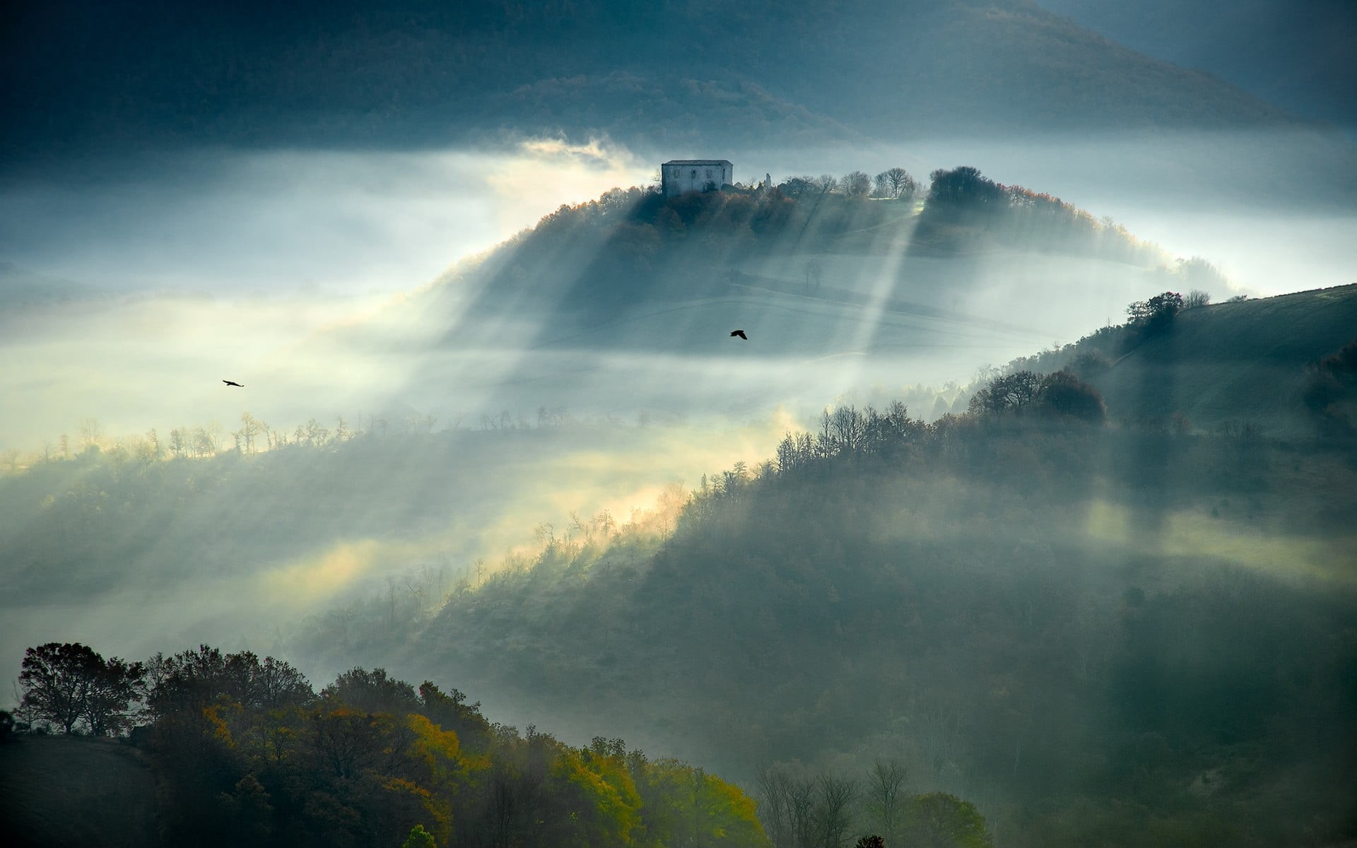 tranquil scene, farm, no people, plant, fog, forest, graphic, tree, environment, sunbeam, landscape, mountains, beauty in nature, sunbeams, scenics - nature, HD Wallpaper
