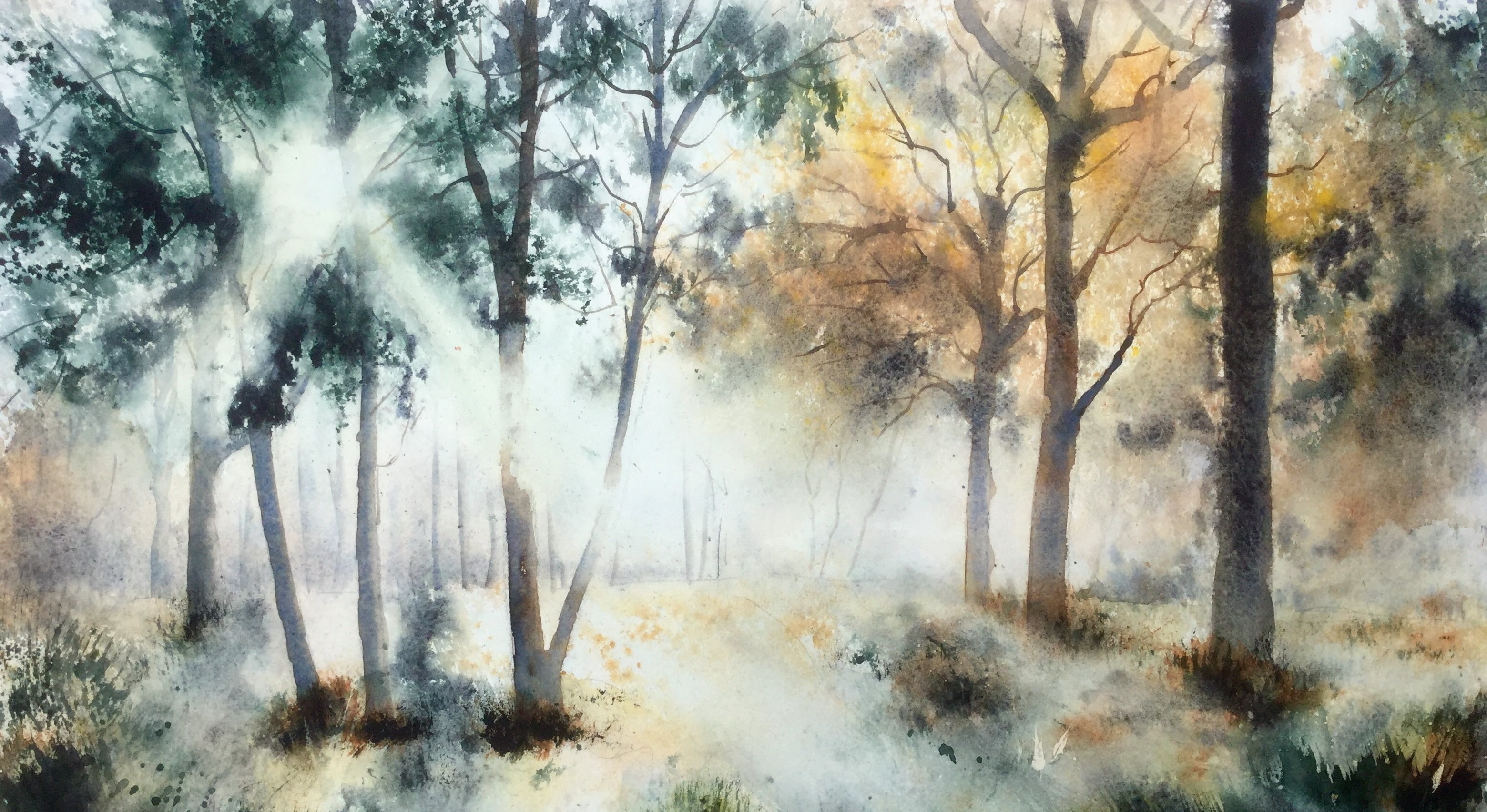 Sunbeam, 2K, Watercolor, Artistic, Tree, Forest, Nature, HD Wallpaper