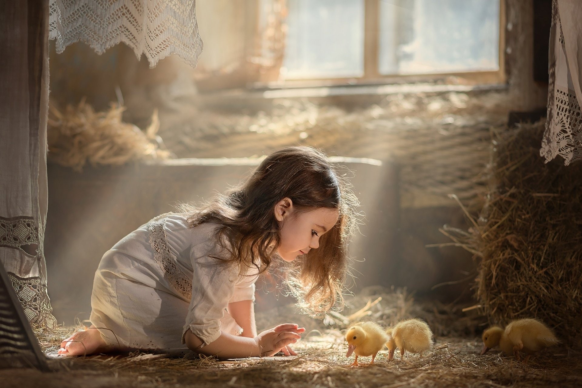 Girl, Baby Animal, 1080P, Little Girl, Sunbeam, Chick, Child, Photography, HD Wallpaper