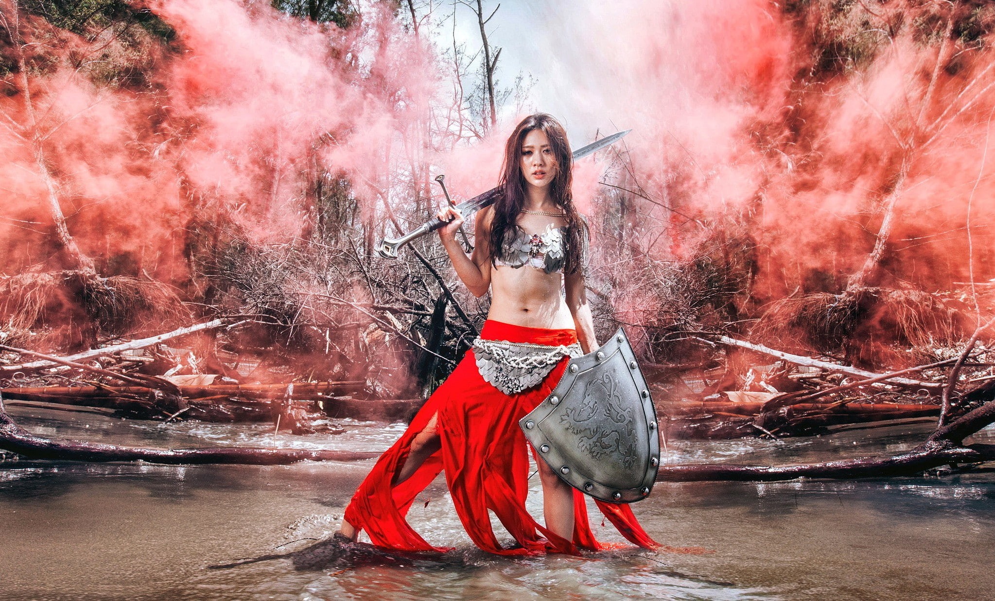 fantasy art, 1080P, women, model, warrior, sword, shield, Asian, fantasy girl, HD Wallpaper