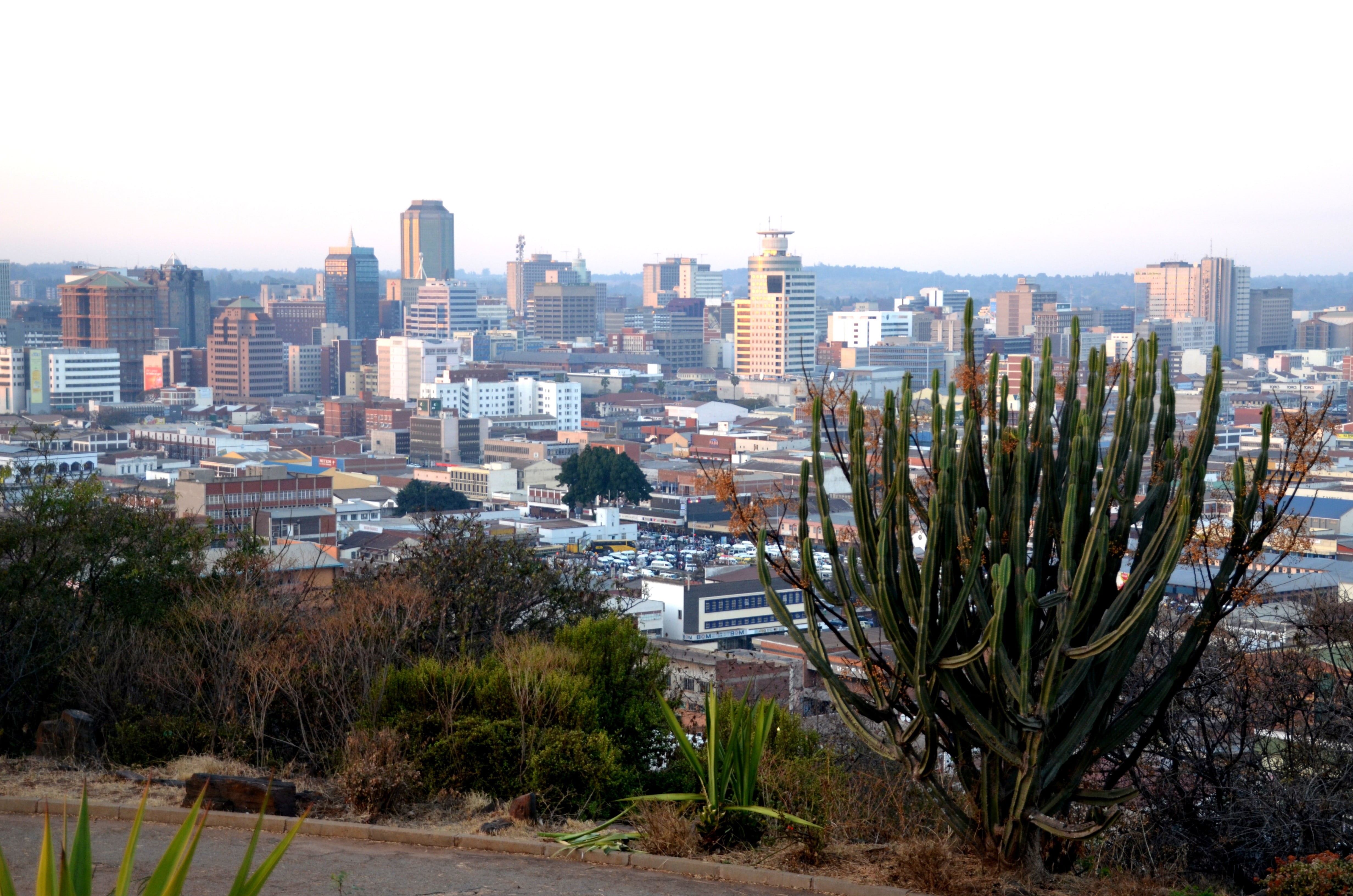 office building exterior, residential district, skyscraper, building, built structure, zimbabwe, green, apartment, nature, harare, landscape, day, 4K, HD Wallpaper