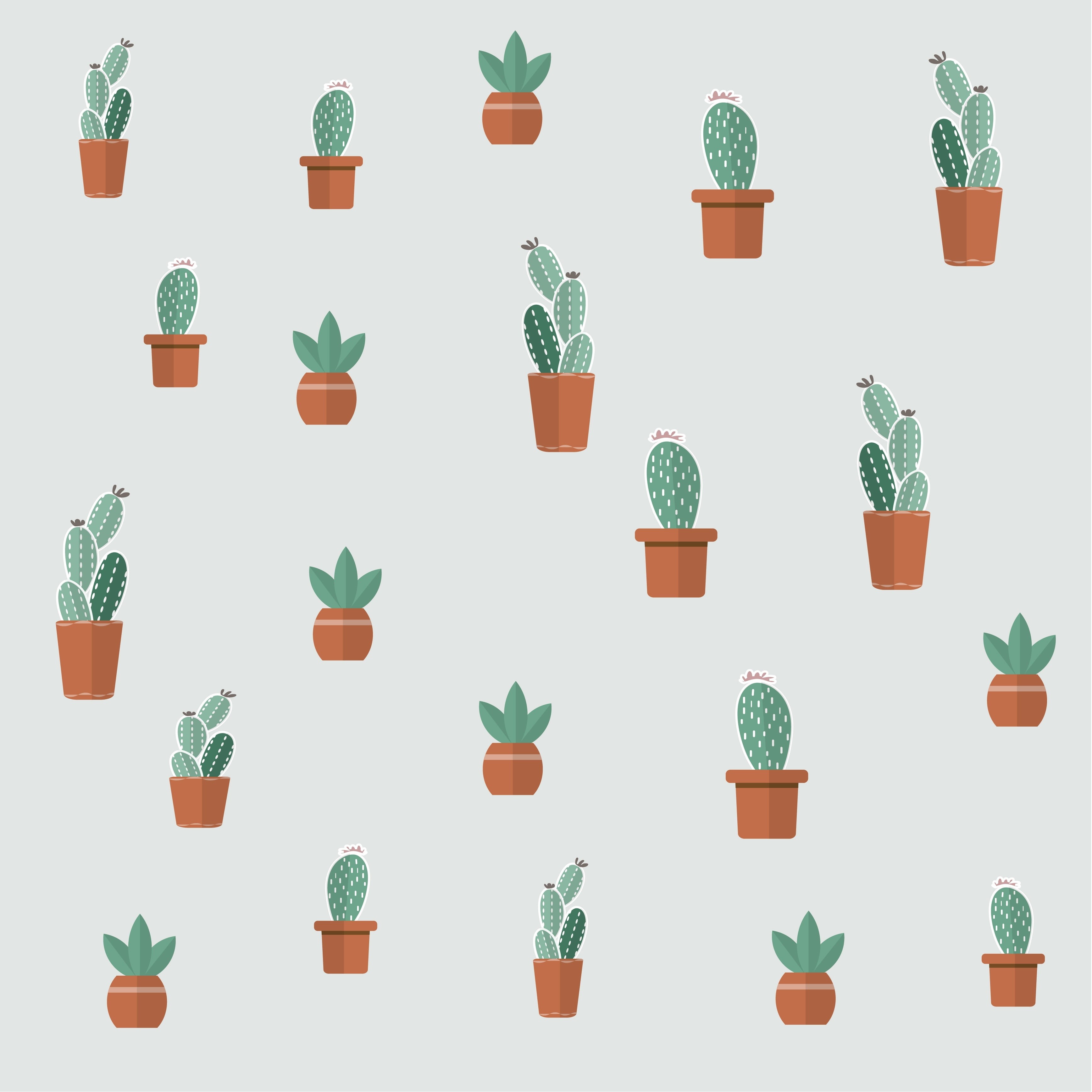 gardening, patterns, computer icon, symbol, arts culture and entertainment, plant, cacti, cactus, leaf, people, flower pot, food, drink, succulent plant, Phone HD Wallpaper