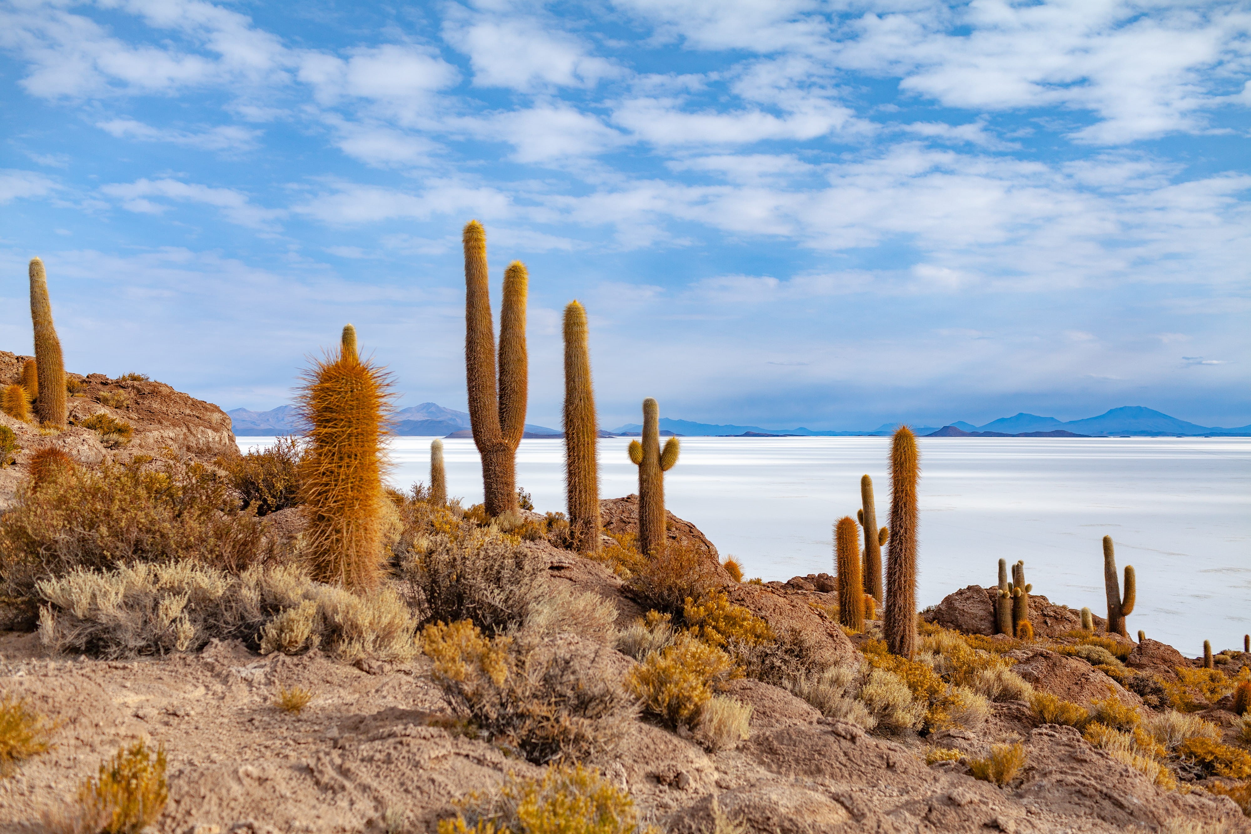 outdoors, landscape, wilderness, salar de Uyuni, water, body, blue, travel, bush, cloud, scenics, salt flat, tourism, nature, brush, salt, desert, sand, HD Wallpaper