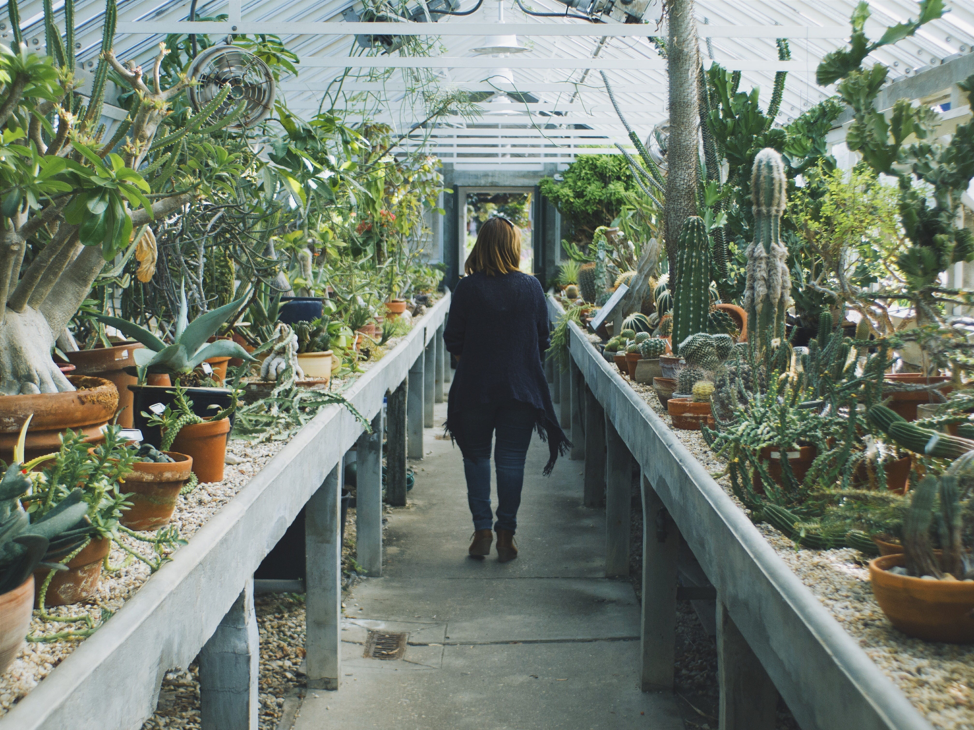 architecture, plant, built structure, 4K, pathway, casual clothing, leisure activity, garden, collection, one person, real people, outdoors, growth, adult, HD Wallpaper