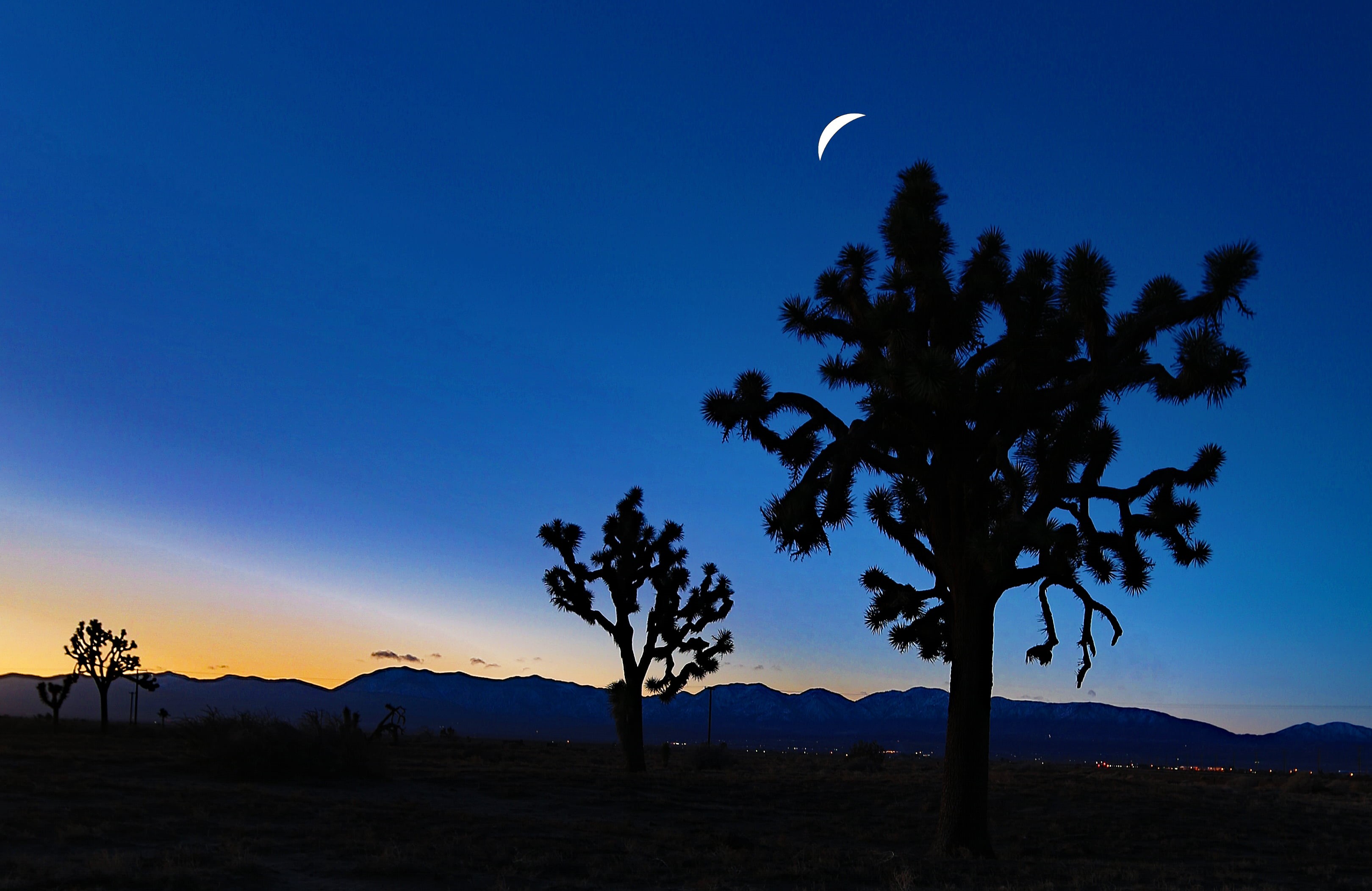 sky, night  day, trending, scenics, nature, strategy, Joshua Trees, crescent, flora, sliver, wonderful world, lovely, sun  rising, desert, day  night, time, HD Wallpaper
