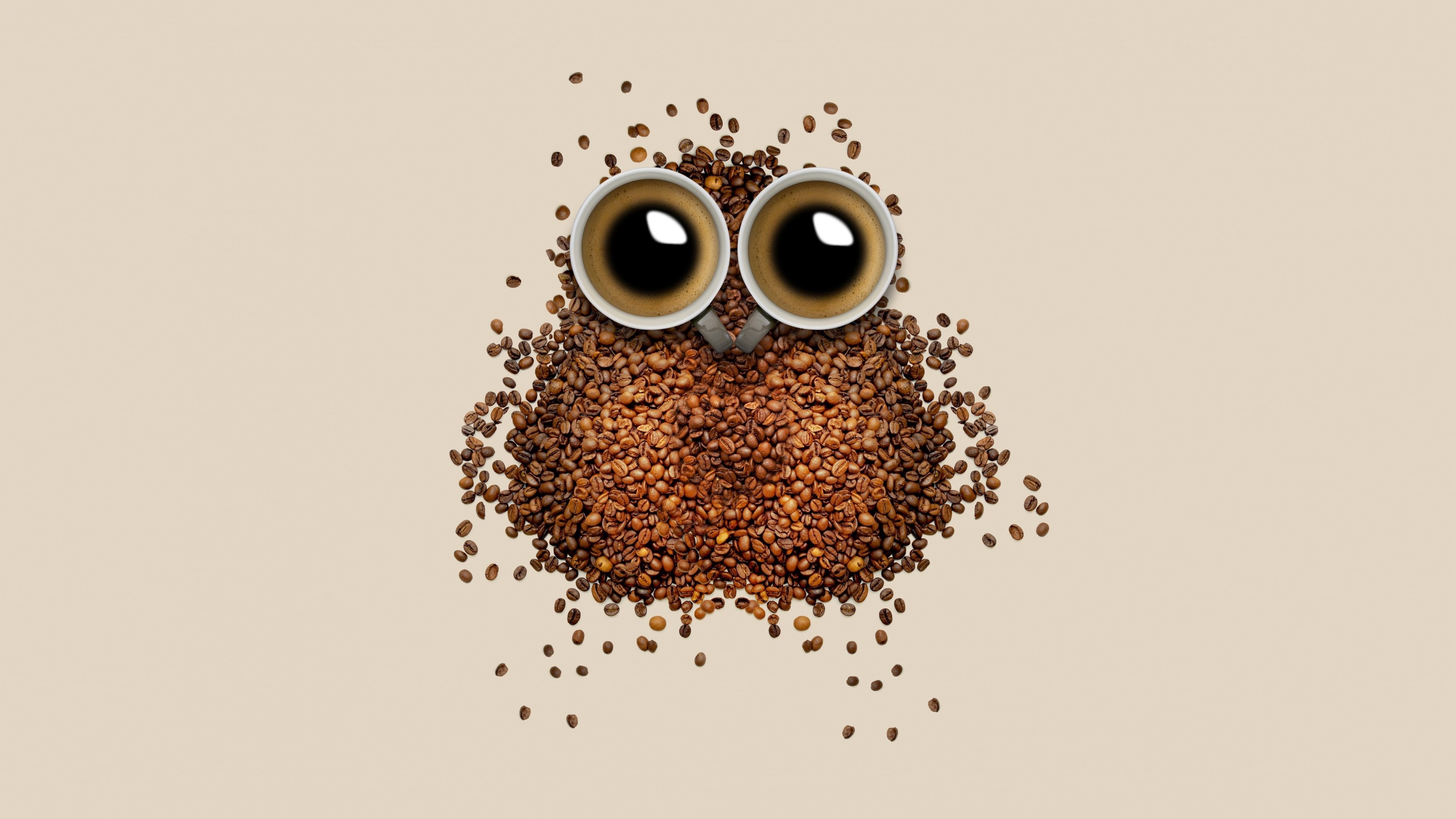 coffee cup, illustration, coffee bean, owl, eyes, art, funny, bean, 4K, bird, coffee, HD Wallpaper