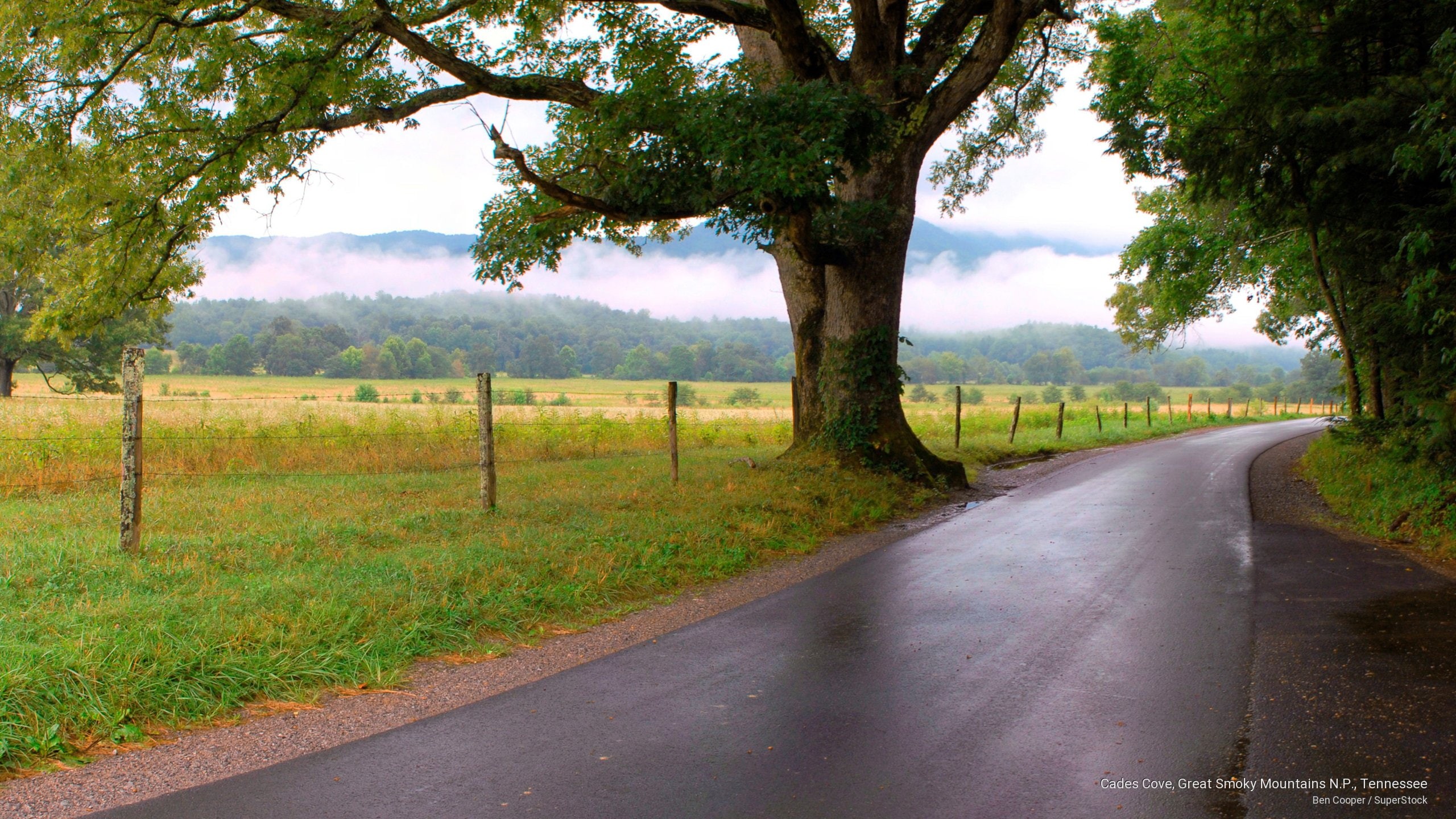 p, tennessee, cove, National Parks, 2K, cades, great, smoky, n, mountains, HD Wallpaper