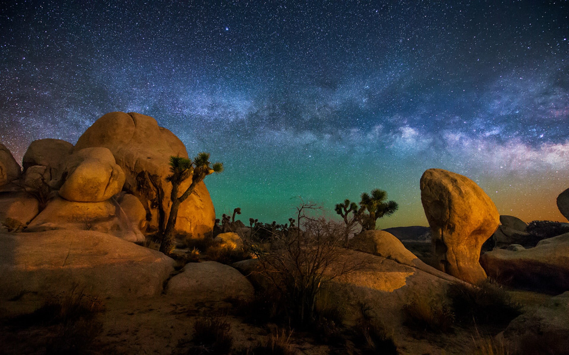 desktop, park, joshua, sky, 1080P, tree, usa, national, starry, hd, HD Wallpaper