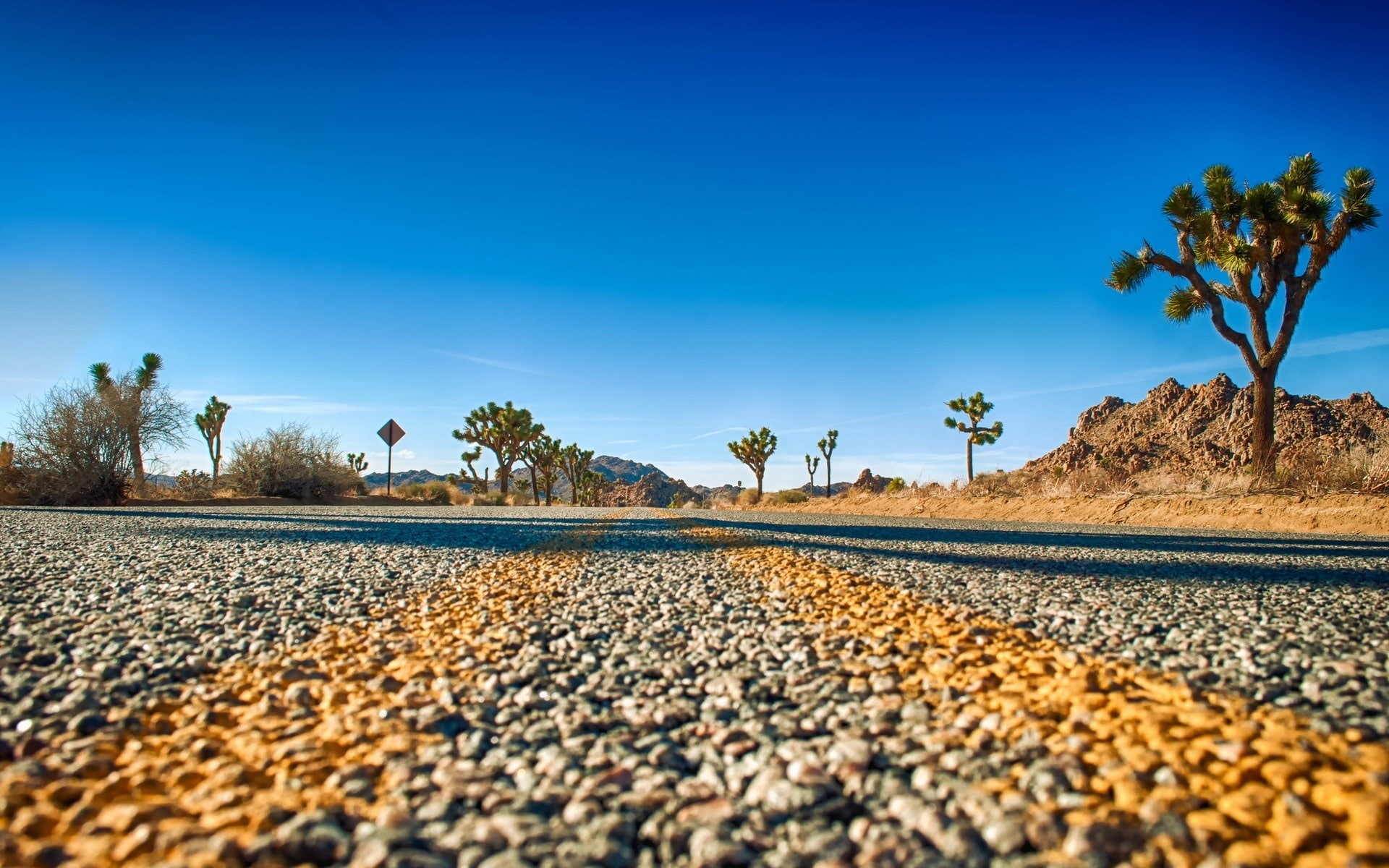 Road, National, California, Sky, Trees, Tree, USA, 1080P, Joshua, Park, HD Wallpaper