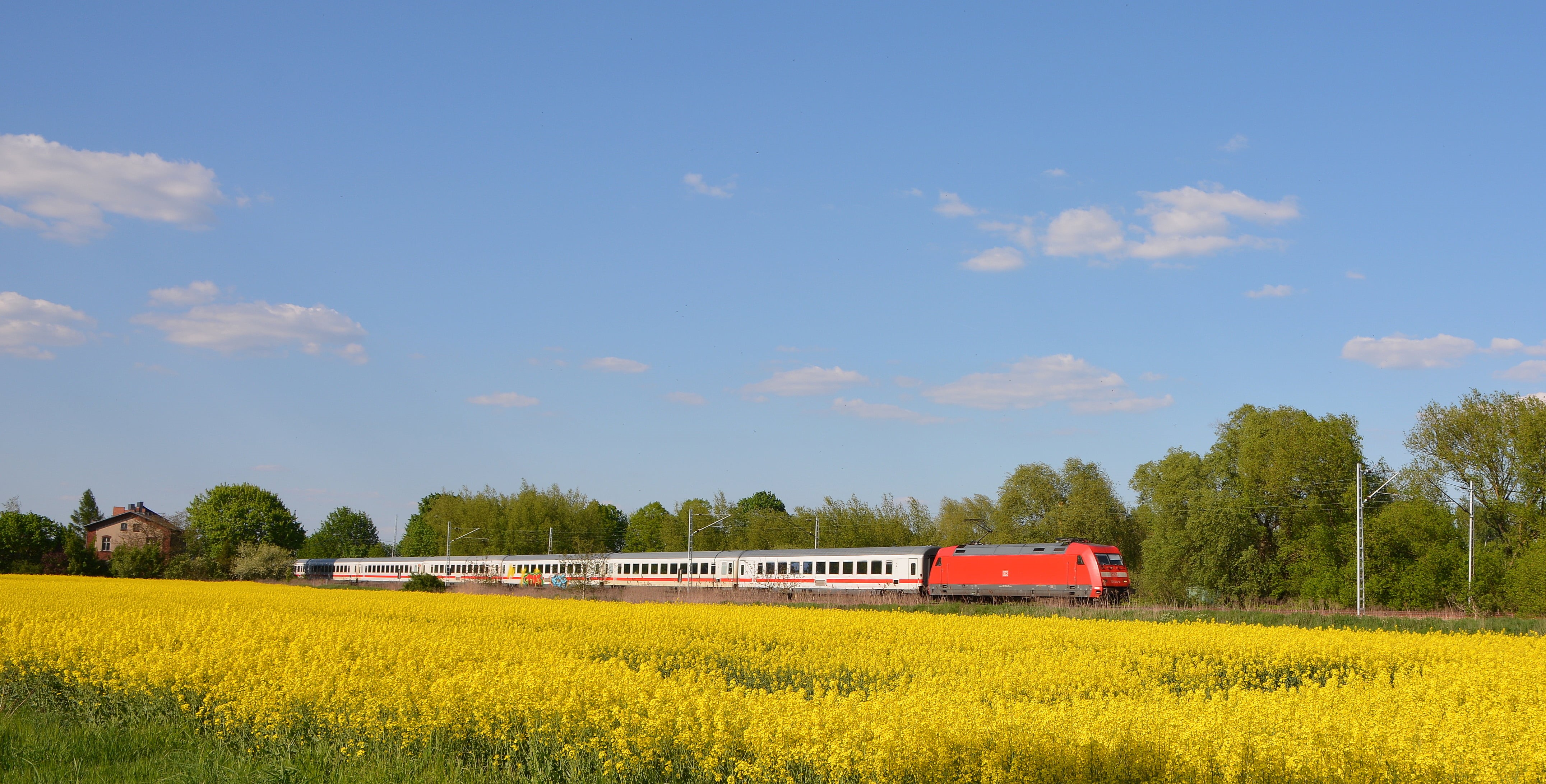 4K, nature, red, daytime, intercity, rural Scene, yellow, db, train, summer, field, farm, oilseed Rape, agriculture, panoramic, photograph, HD Wallpaper