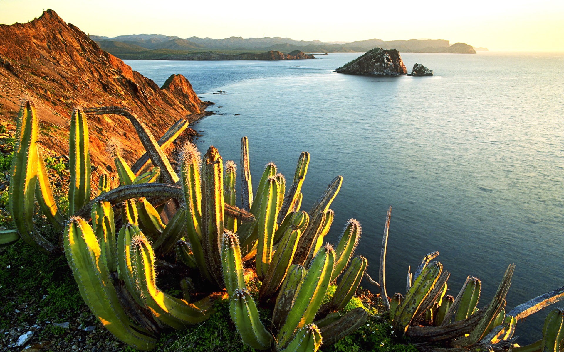 sky, tranquil scene, bay, idyllic, scenics - nature, nature, rock - object, water, mountain, sea, cactus, tranquility, 1080P, beauty in nature, growth, HD Wallpaper