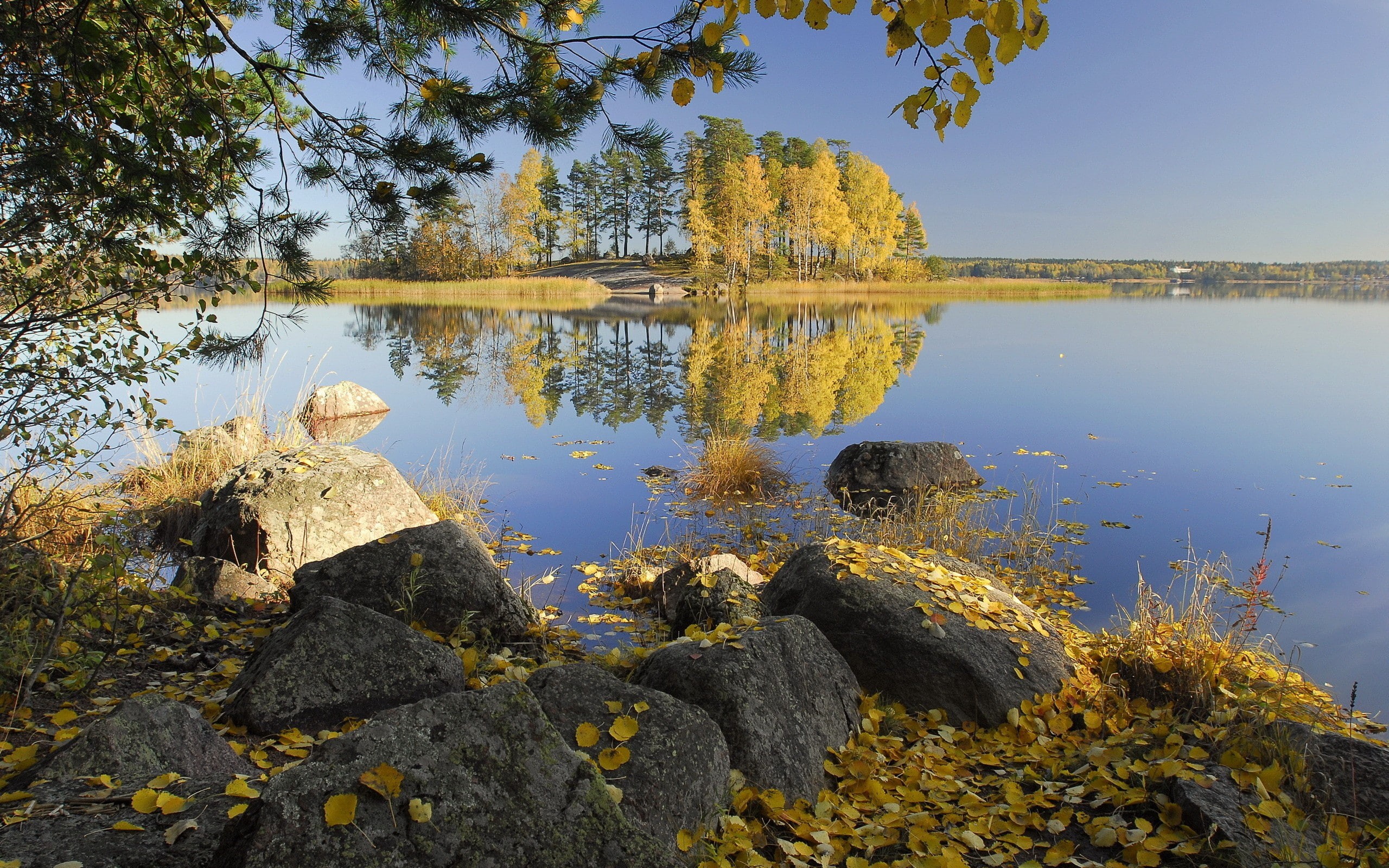 rocks, 2K, trees, island, nature, landscape, fallen leaves, lake, HD Wallpaper
