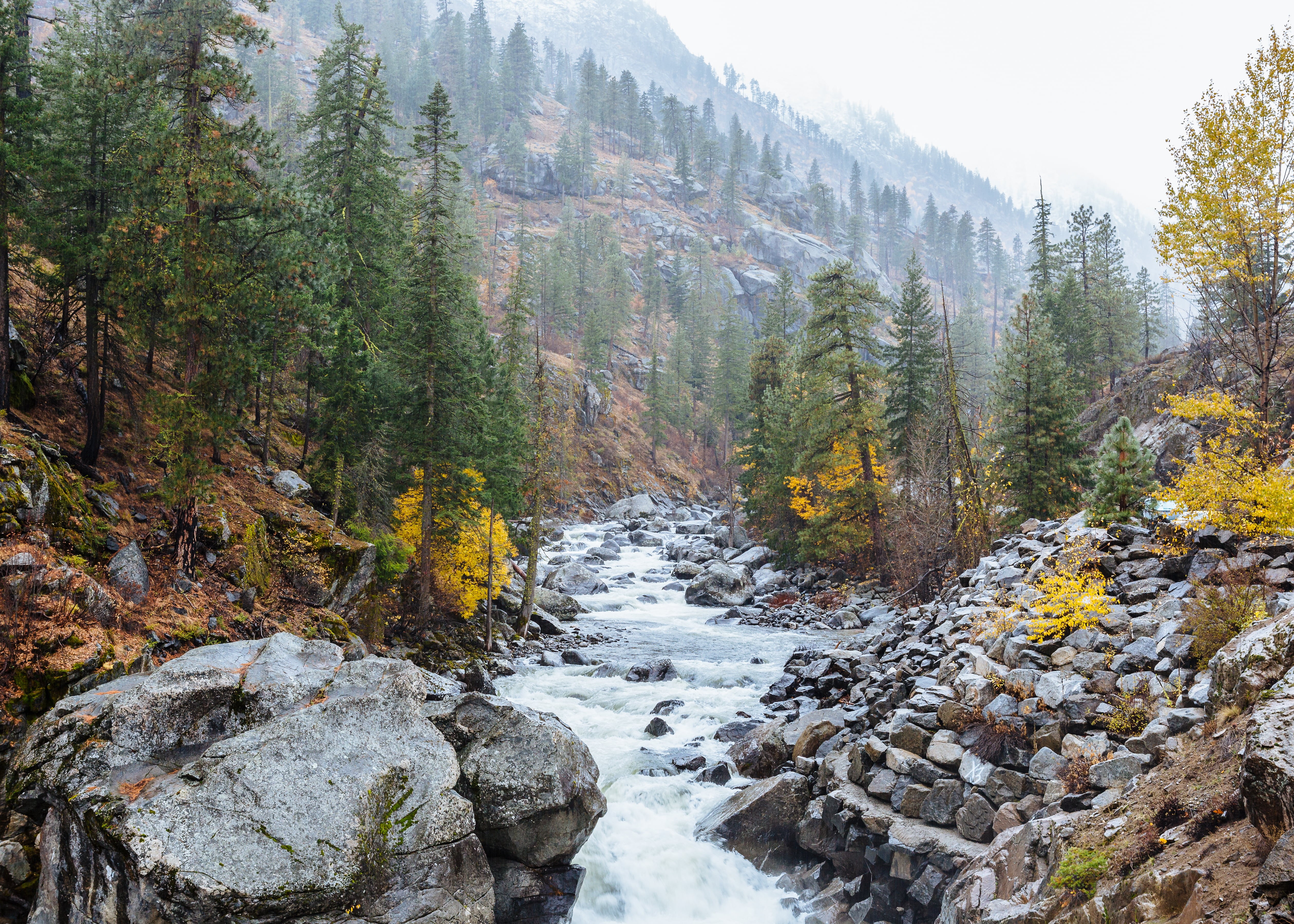 rock - Object, USM, beauty In Nature, 70mm, green, nature, Pacific Northwest, trees, landscape, III  john, f/2, mountain, outdoors, River, washington, westrock, HD Wallpaper