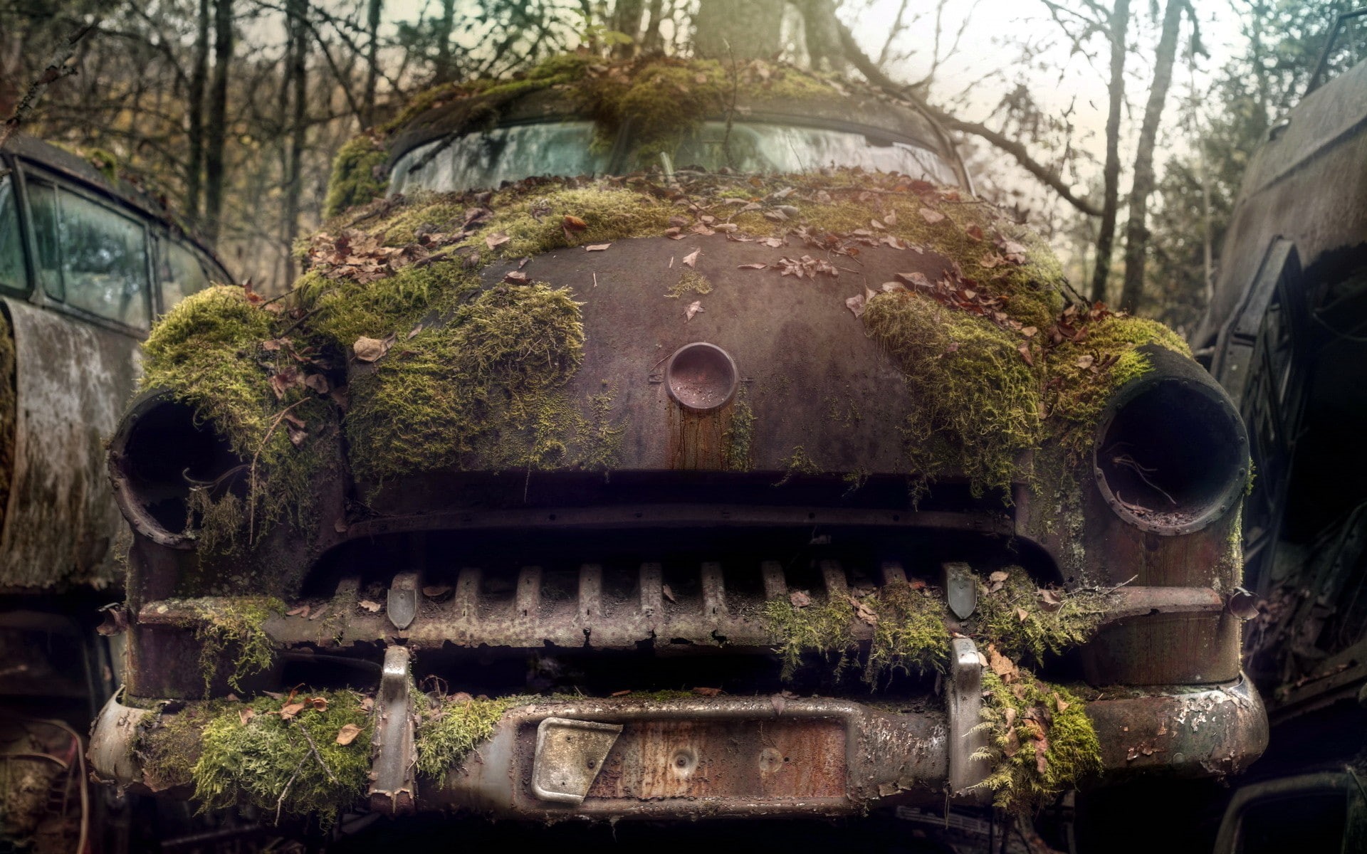 day, built structure, car, nature, architecture, motor vehicle, mode of transportation, abandoned, outdoors, rail transportation, Vintage car, rust, plant, HD Wallpaper