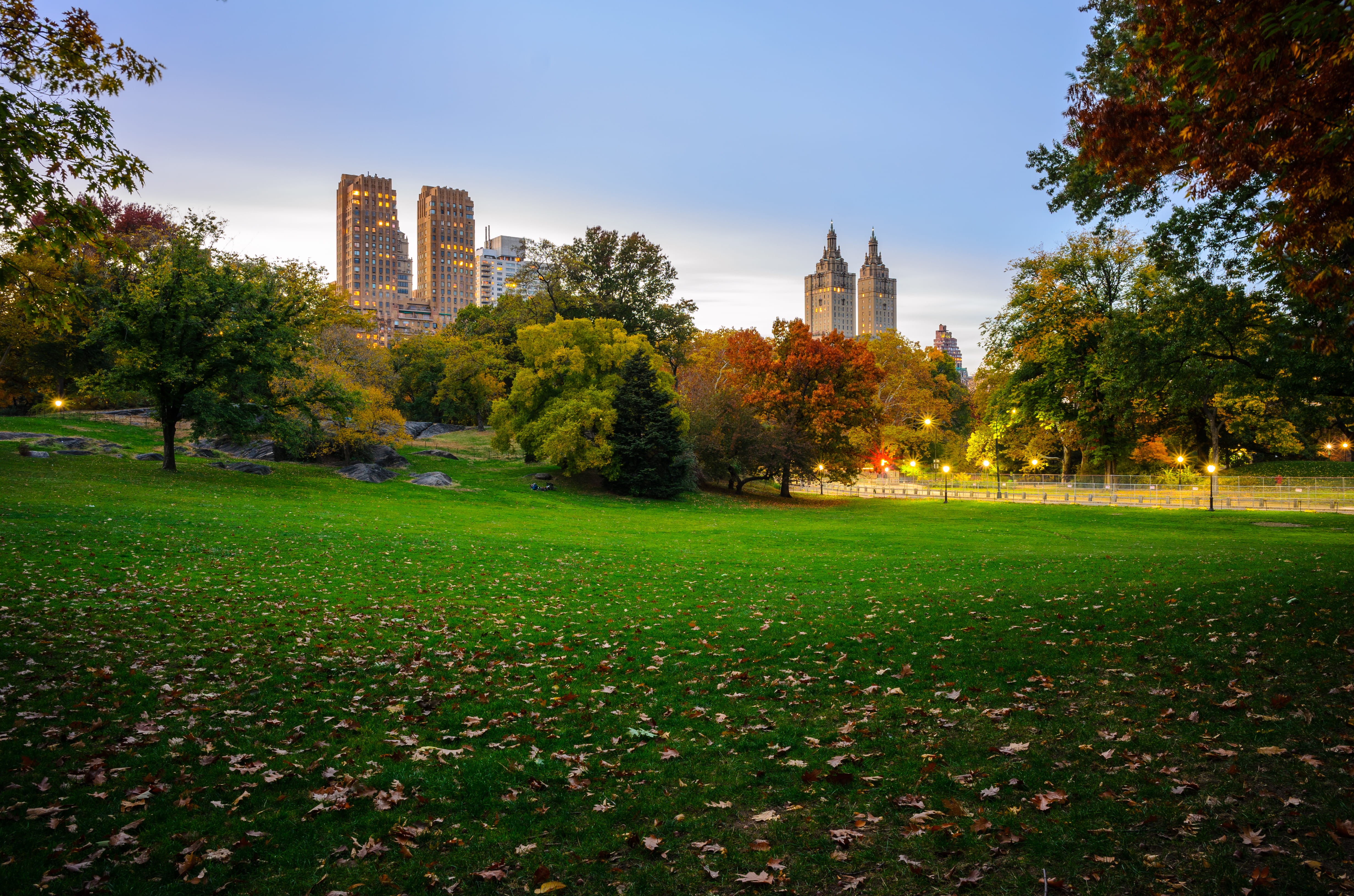skyline, office building exterior, architecture, central park, tree, change, united states, 4K, travel destinations, park - man made space, tower, building, HD Wallpaper