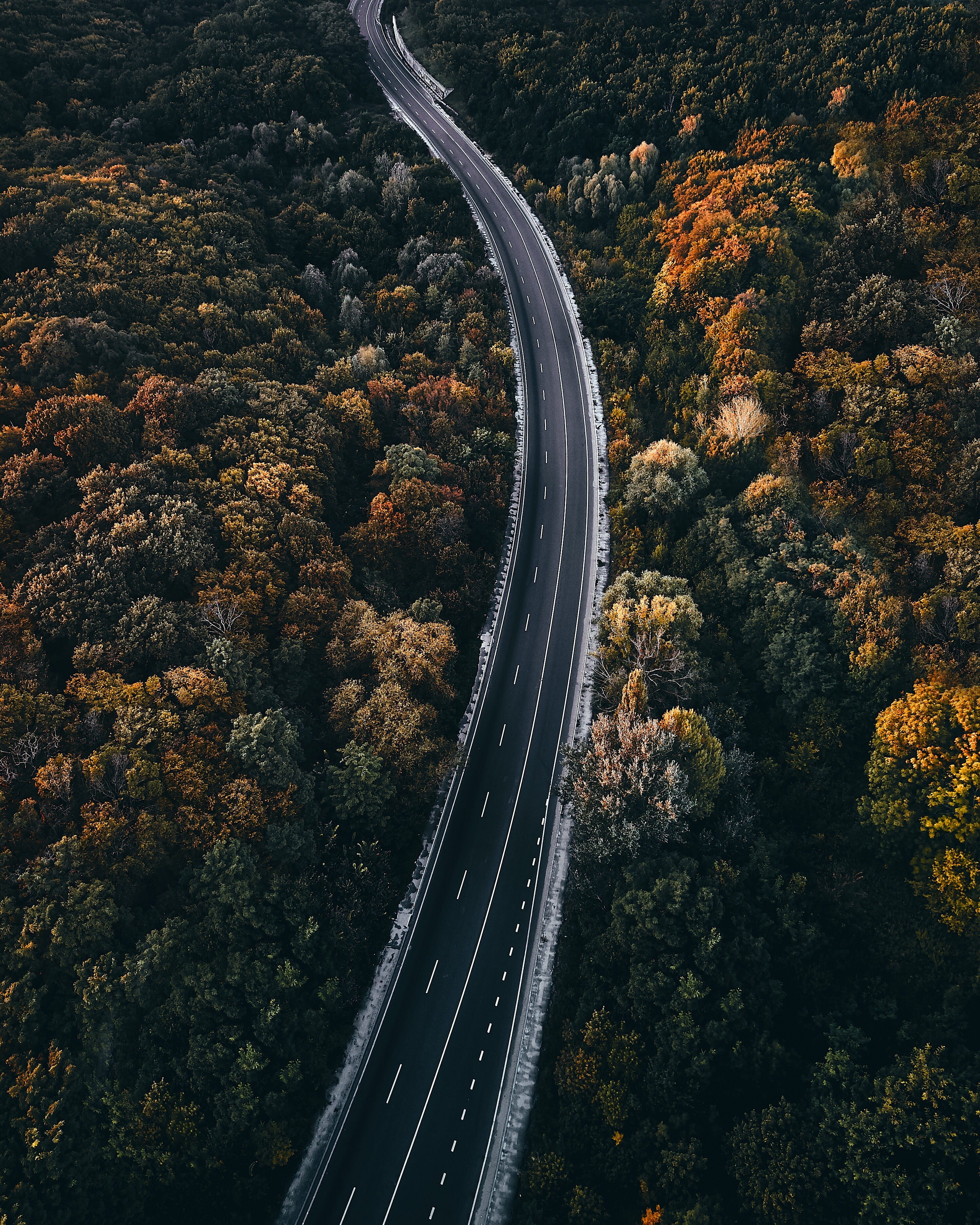 scenics, yellow, landscape, lines, autumn, fall, sky, journey, day, orange, speed, no People, asphalt, car, nature, curve, road, drone, blue, forest, travel, Phone HD Wallpaper