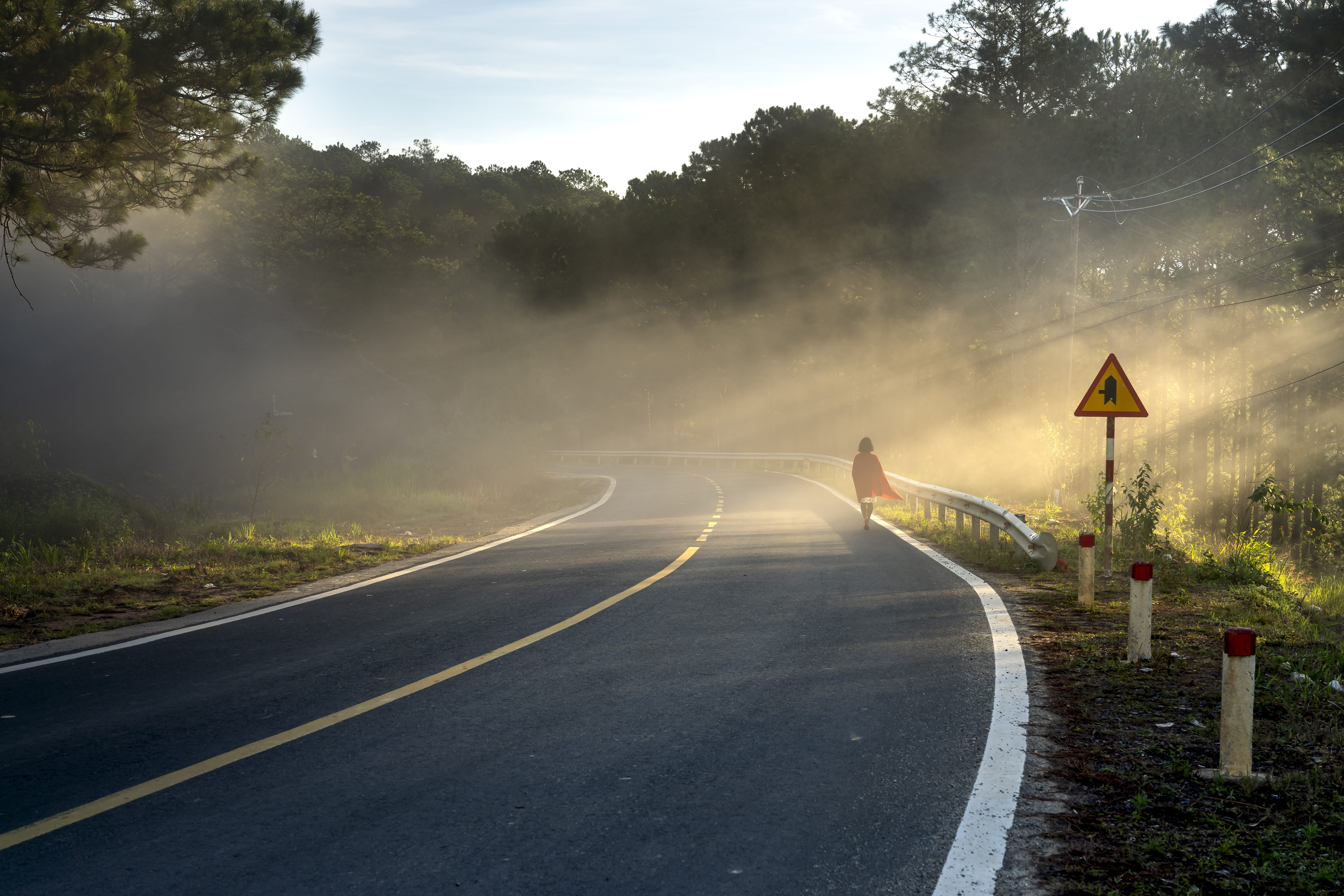 foggy, woods, communication, walking, landscape, marking, trip (journey), light, road, fog, road sign, 8K, day, the way forward, plant, sunset, road marking, HD Wallpaper