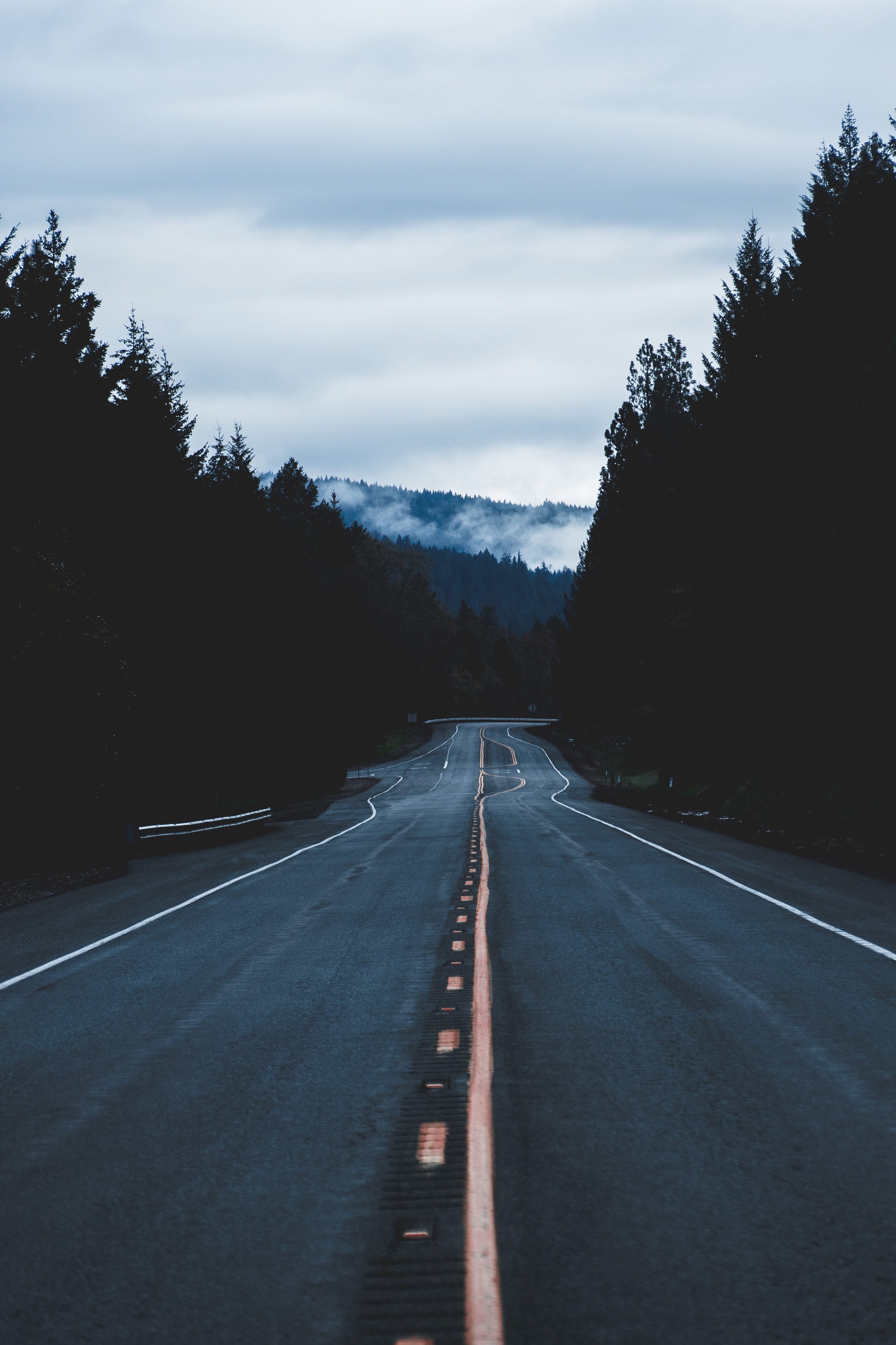pavement, sky, 5K, asphalt, outdoors, marking, diminishing perspective, plant, pathway, light, the way forward, tree, sunset, landscape, empty, road, long, Phone HD Wallpaper