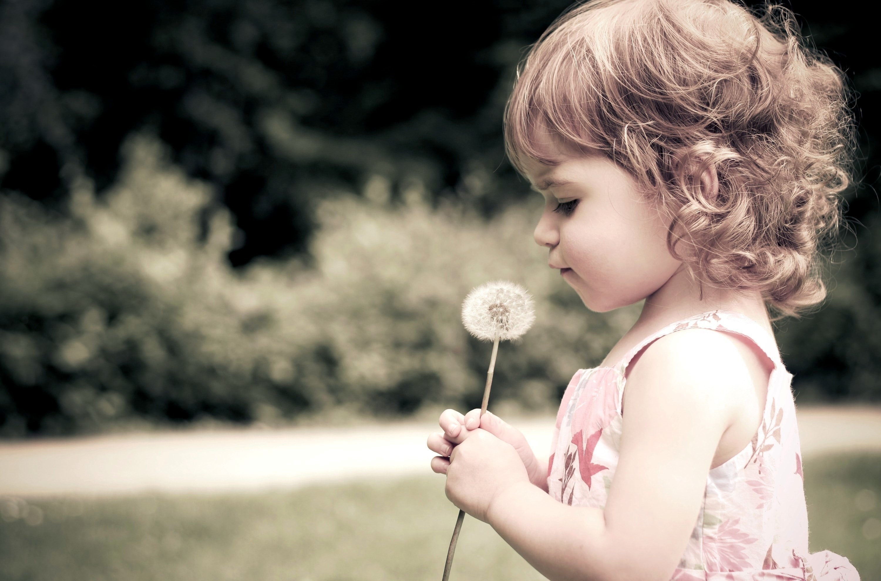 brunette, little girl, dandelion, side view, 2K, profile, children, HD Wallpaper
