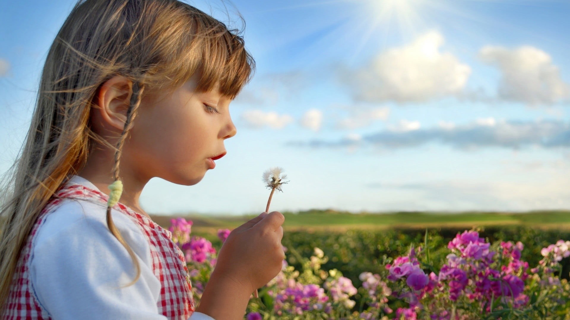 sky, child, looking, land, hair, flower head, blonde, holding, profile view, outdoors, plant, little girl, field, flowering plant, hairstyle, freshness, HD Wallpaper