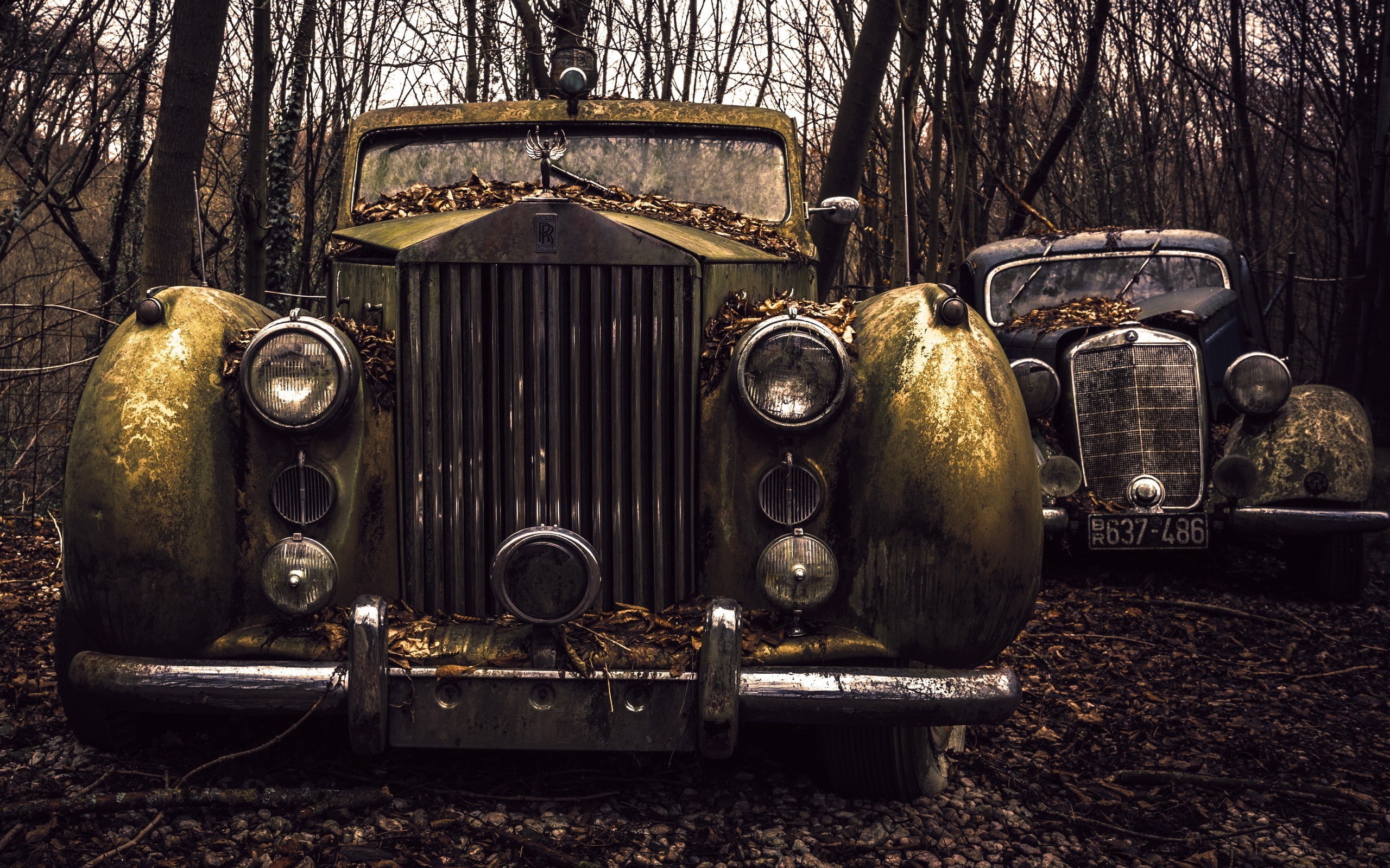 deterioration, day, vehicle, metal, run-down, no people, headlight, abandoned, vintage car, tree, mode of transportation, land, retro styled, nature, old, HD Wallpaper