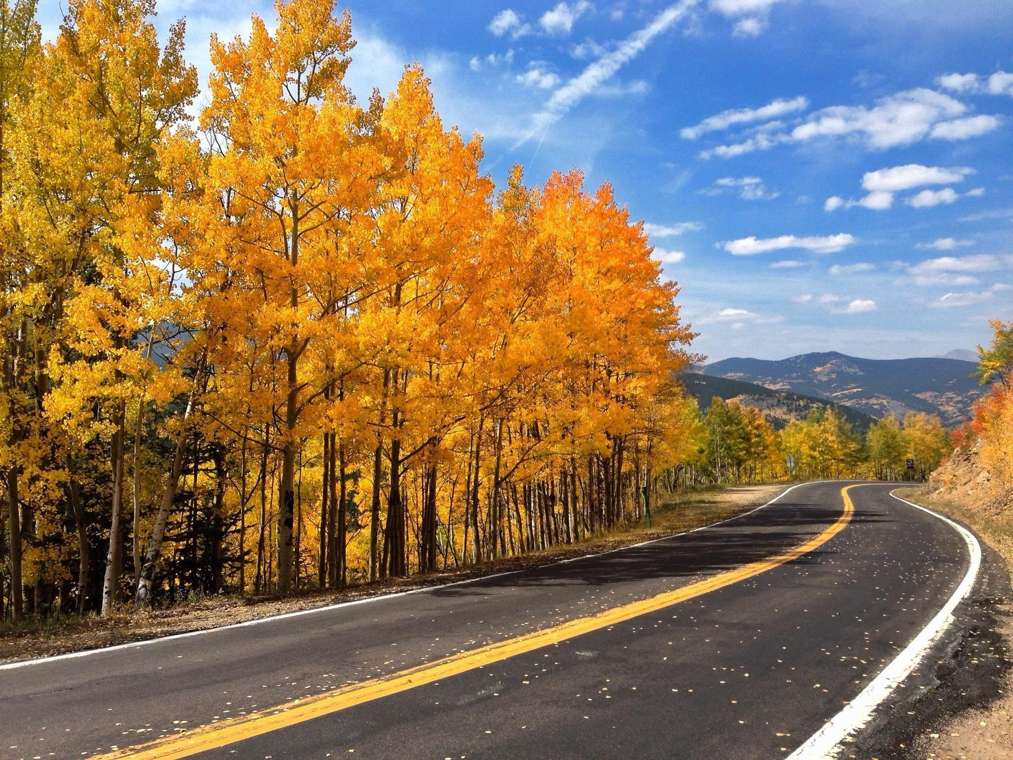 nature, roads, gallery, 1080P, autumn, road, trees, HD Wallpaper
