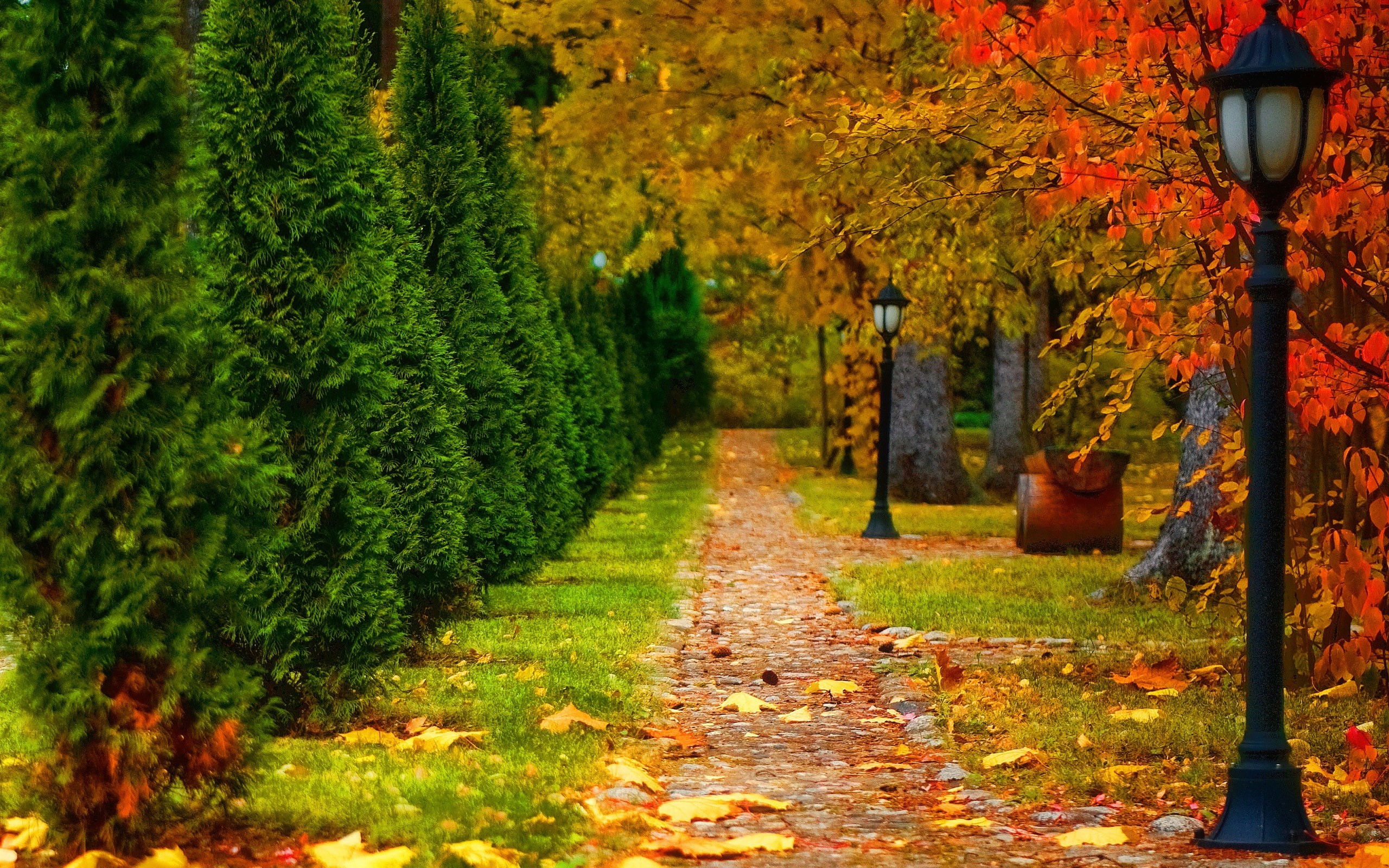 Lantern, Road, Leaves, Park, 2K, Autumn, Trees, HD Wallpaper