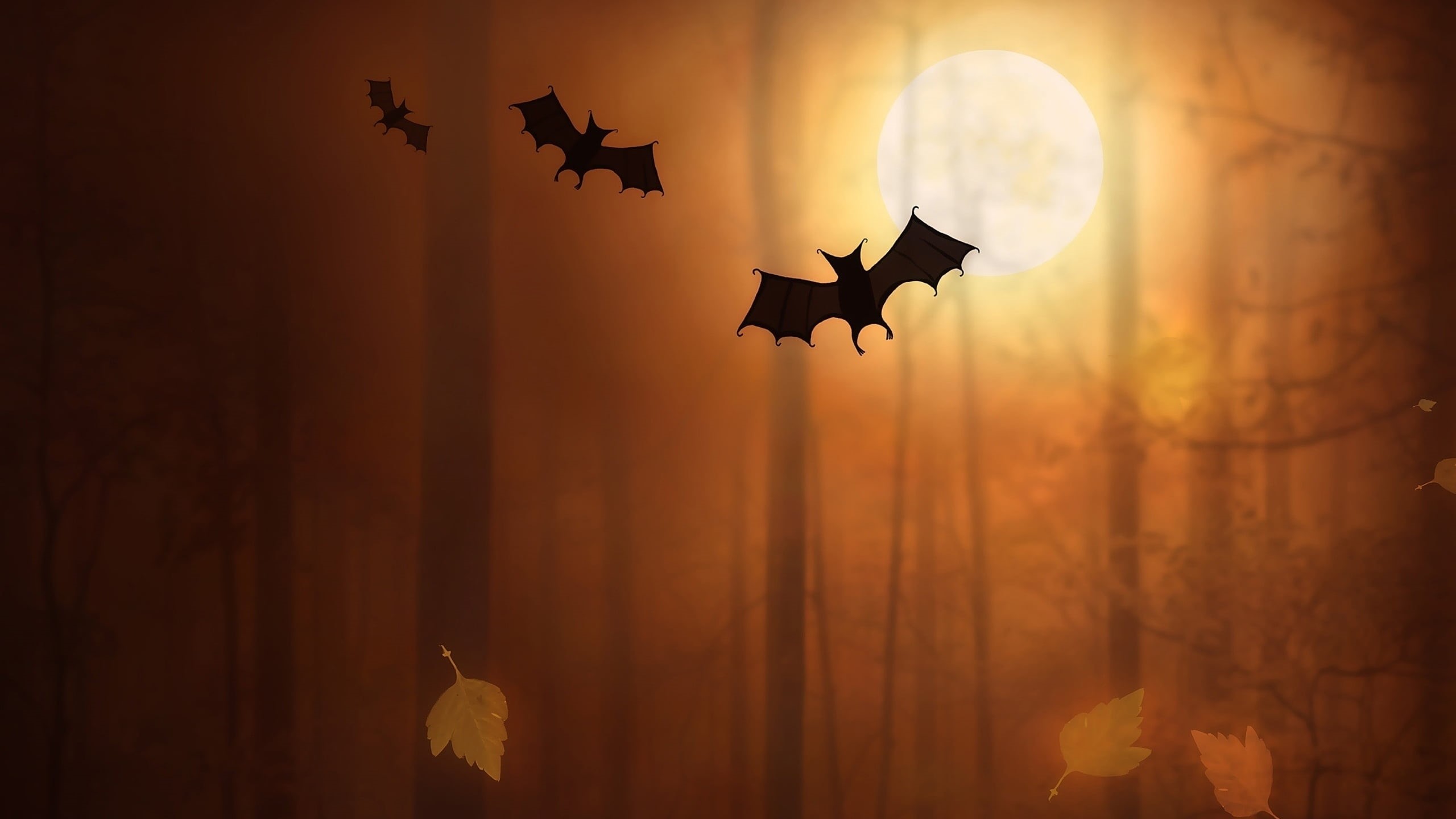 2K, nature, night, sun, focus on foreground, outdoors, built structure, flying, vertebrate, Moon, sunlight, sky, no people, bats, silhouette, fallen leaves, HD Wallpaper