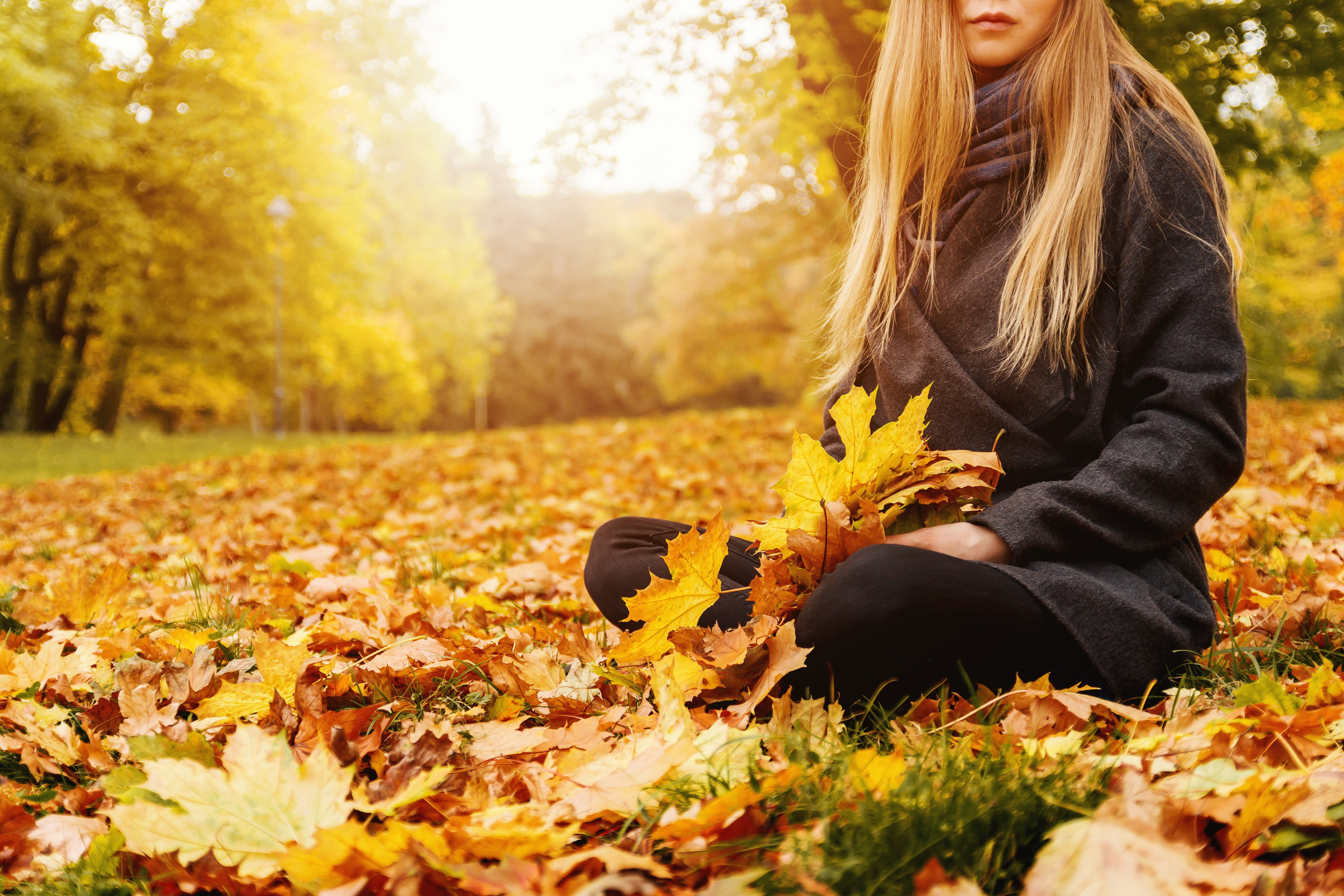 leisure activity, sunlight, tree, fallen, plant, women, young, plant part, change, adult, park, day, casual clothing, leaf, hair, hairstyle, nature, outdoors, HD Wallpaper