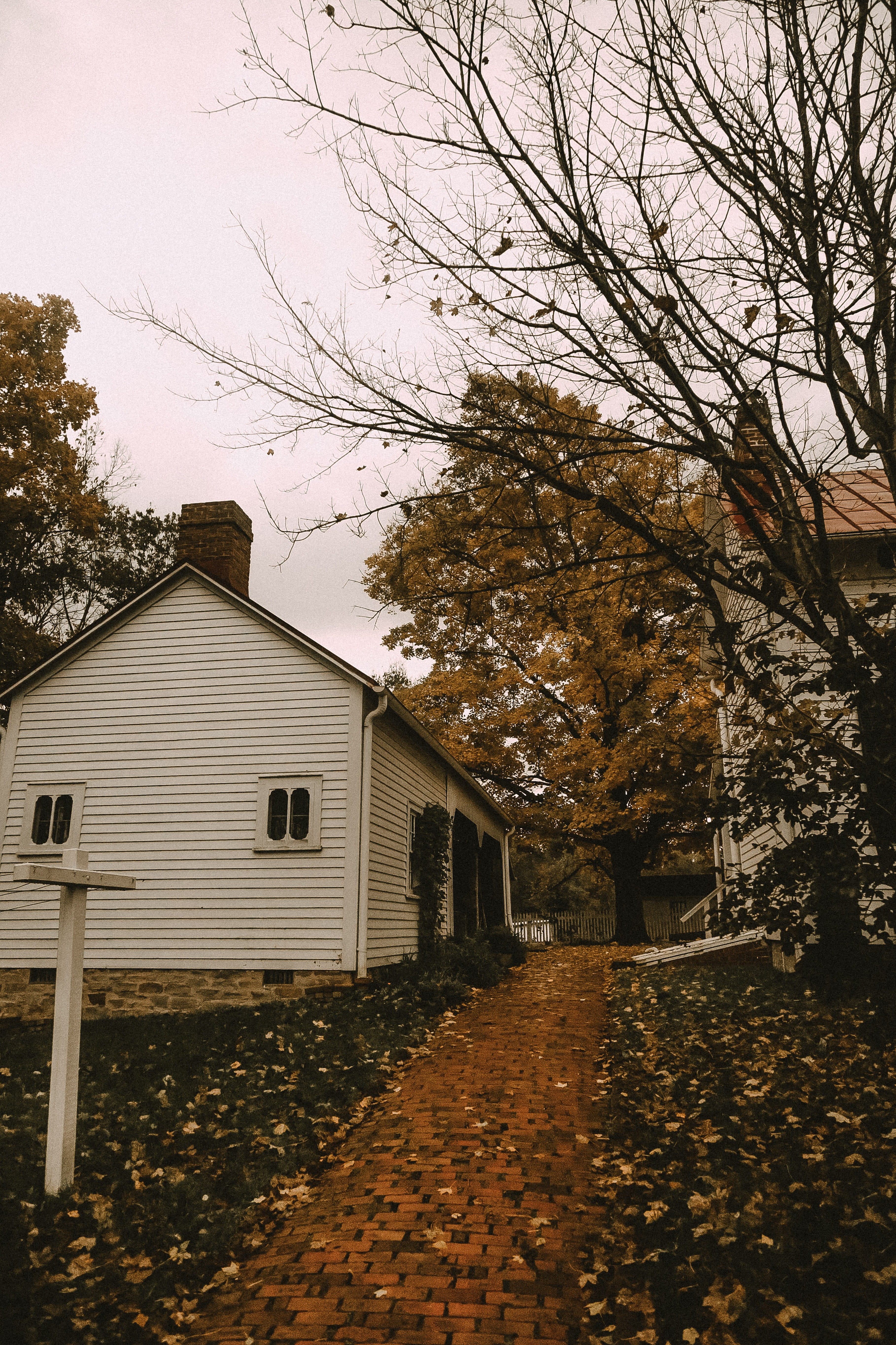nature, cozy, fall, residential district, home, november, october, town, building exterior, house, built structure, beauty in nature, plant, leaf, no people, Phone HD Wallpaper