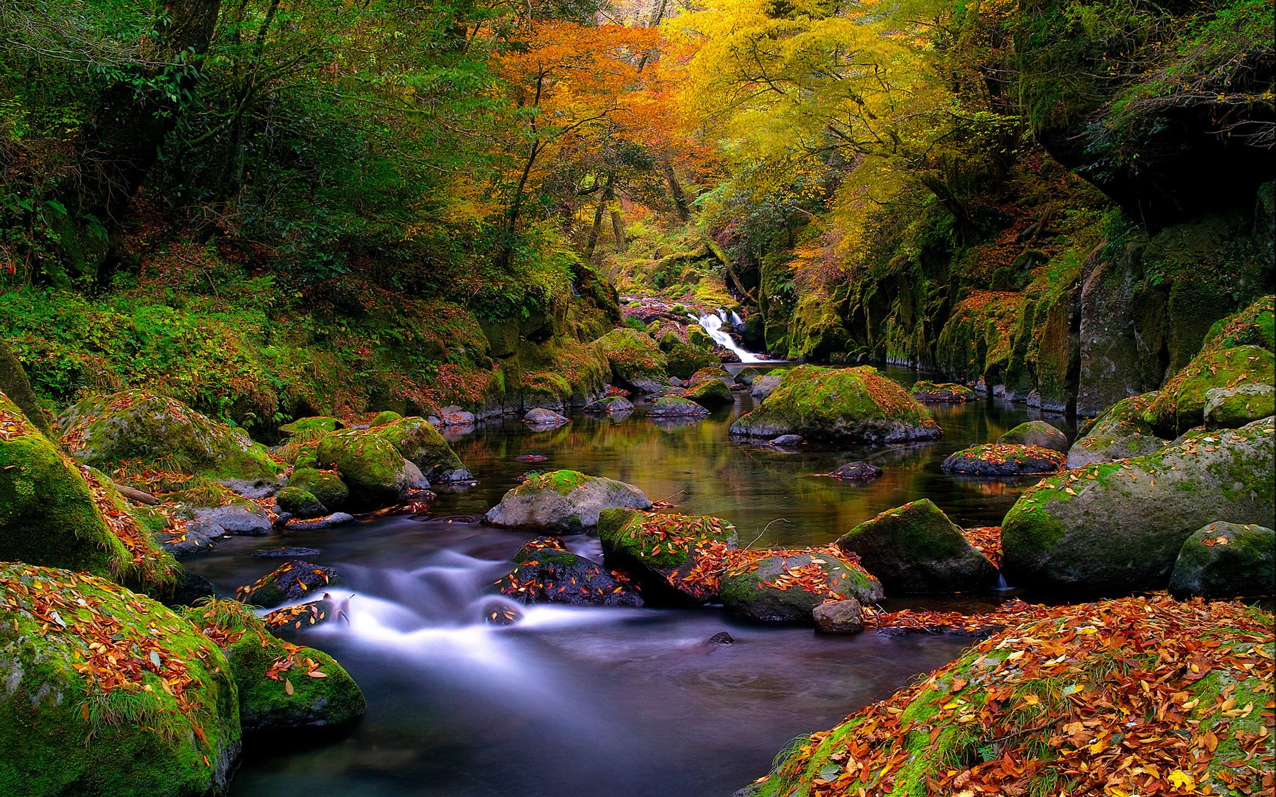 autumn, river, mobile, hd, trees, red, phones, landscape, fallen, mountain, leaves, moss, 2K, yellowed, rock, green, computer, HD Wallpaper