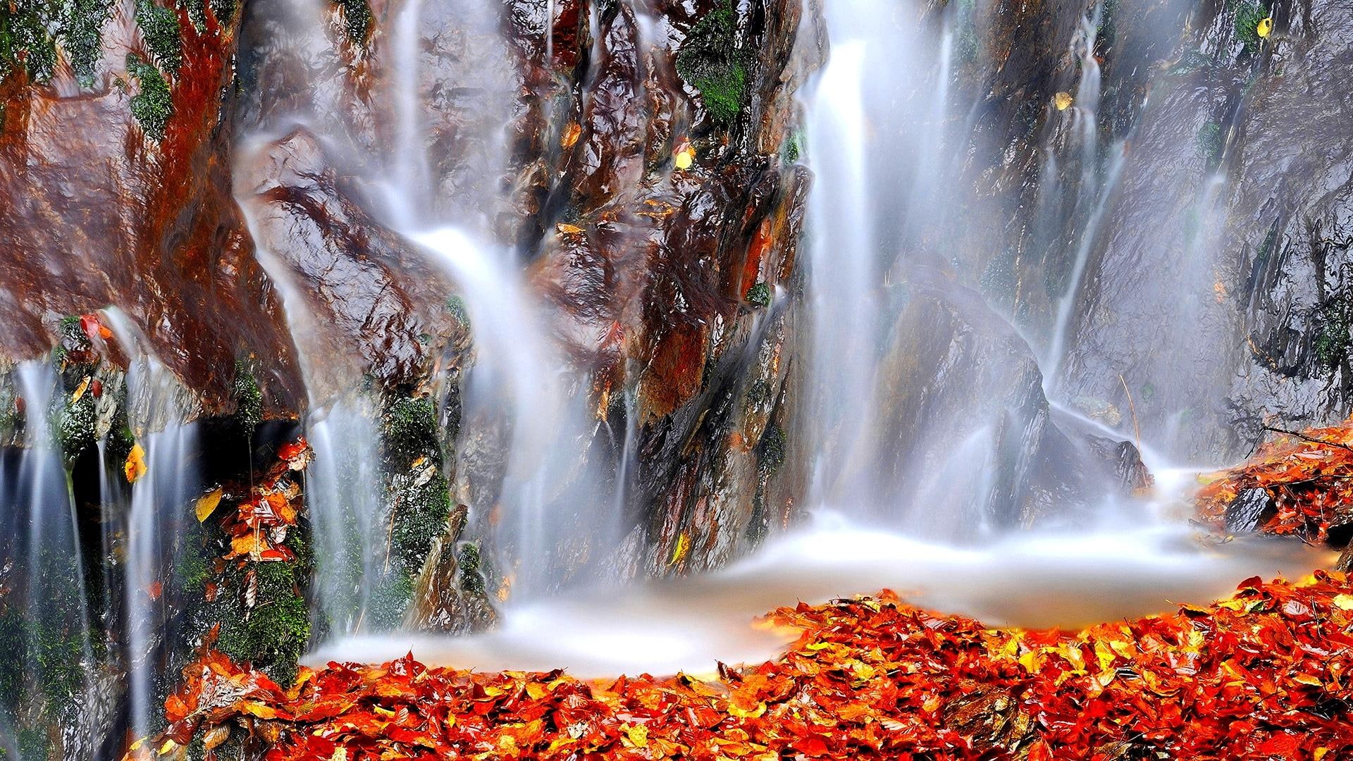 leaves, fallen, falls, 1080P, stream, alps, italian alps, italy, luciano gaudenzio, seasons, fall, waterfall, mountain, HD Wallpaper