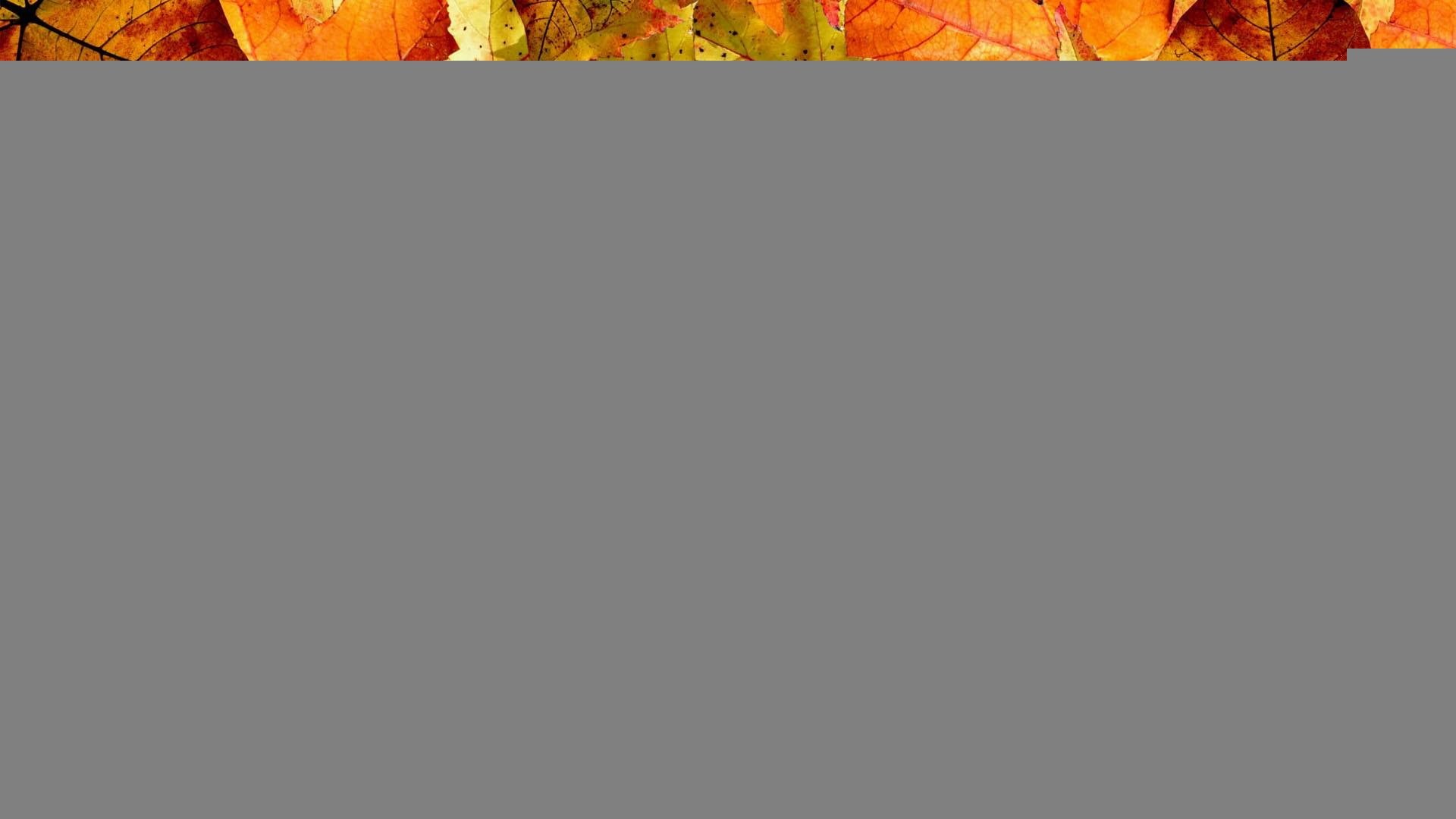 orange, fallen, 1080P, trees, fall, firefox persona, 3d and abstract, season, nature, leaves, autumns, HD Wallpaper