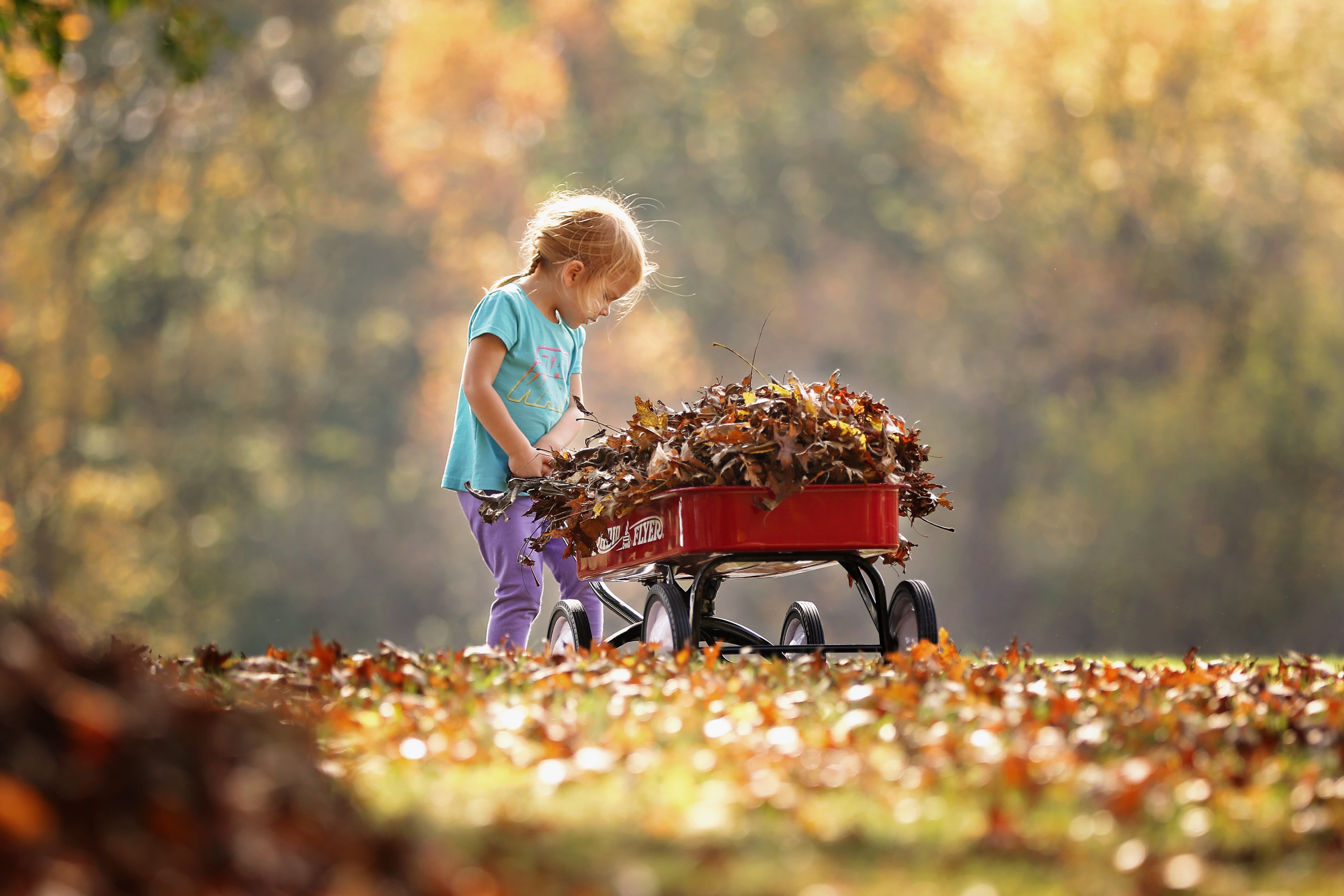 girl, beautiful, happiness, girls, little, adult, selective focus, adorable, offspring, fall foliage, childhood, hairstyle, nature, depth of field, fun, HD Wallpaper