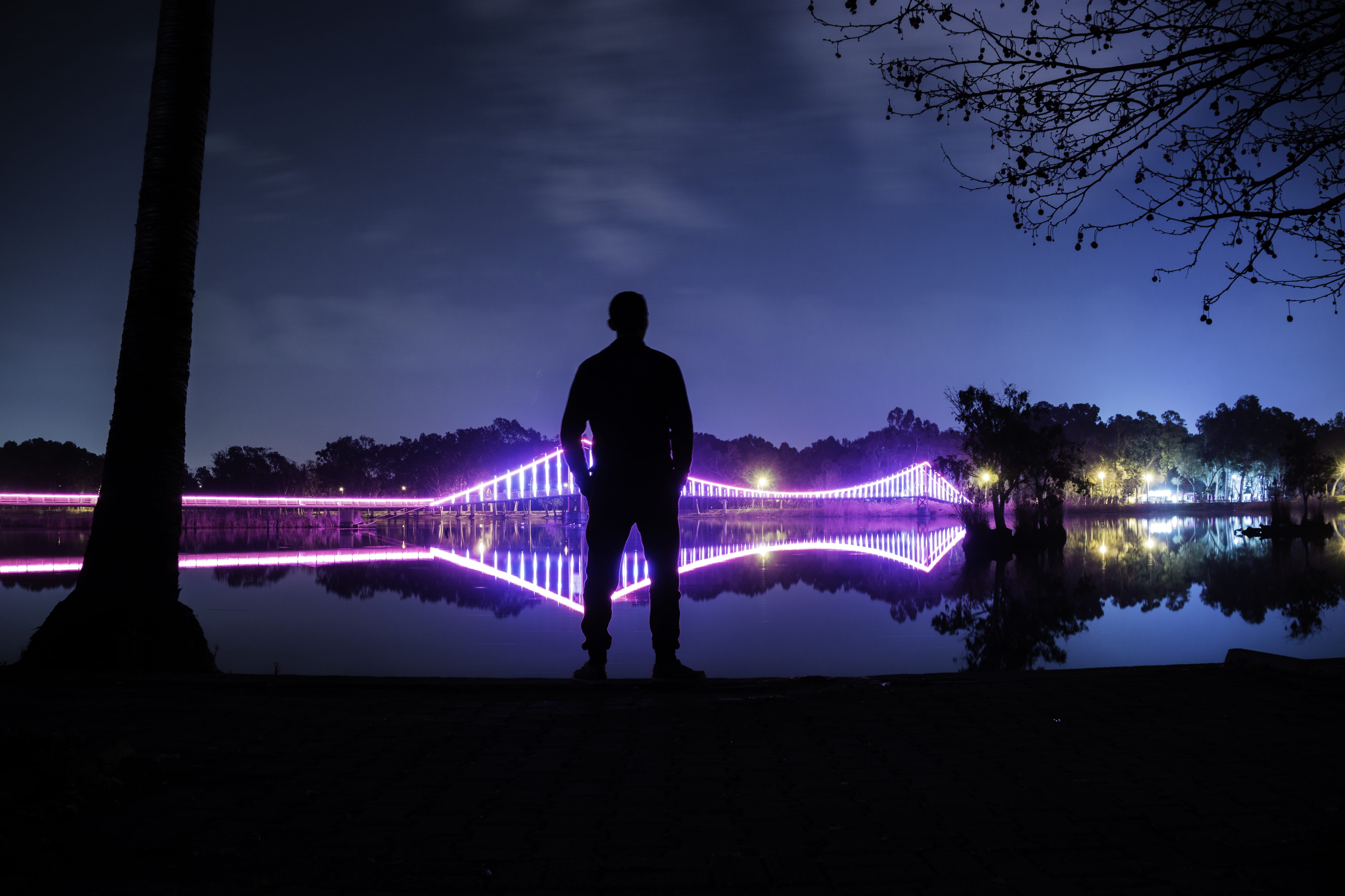 plant, rear view, man, sony, adana, looking at view, illuminated, long exposure, ilce-6000, sky, lake, one person, photo, dusk, men, silhouette, night, HD Wallpaper