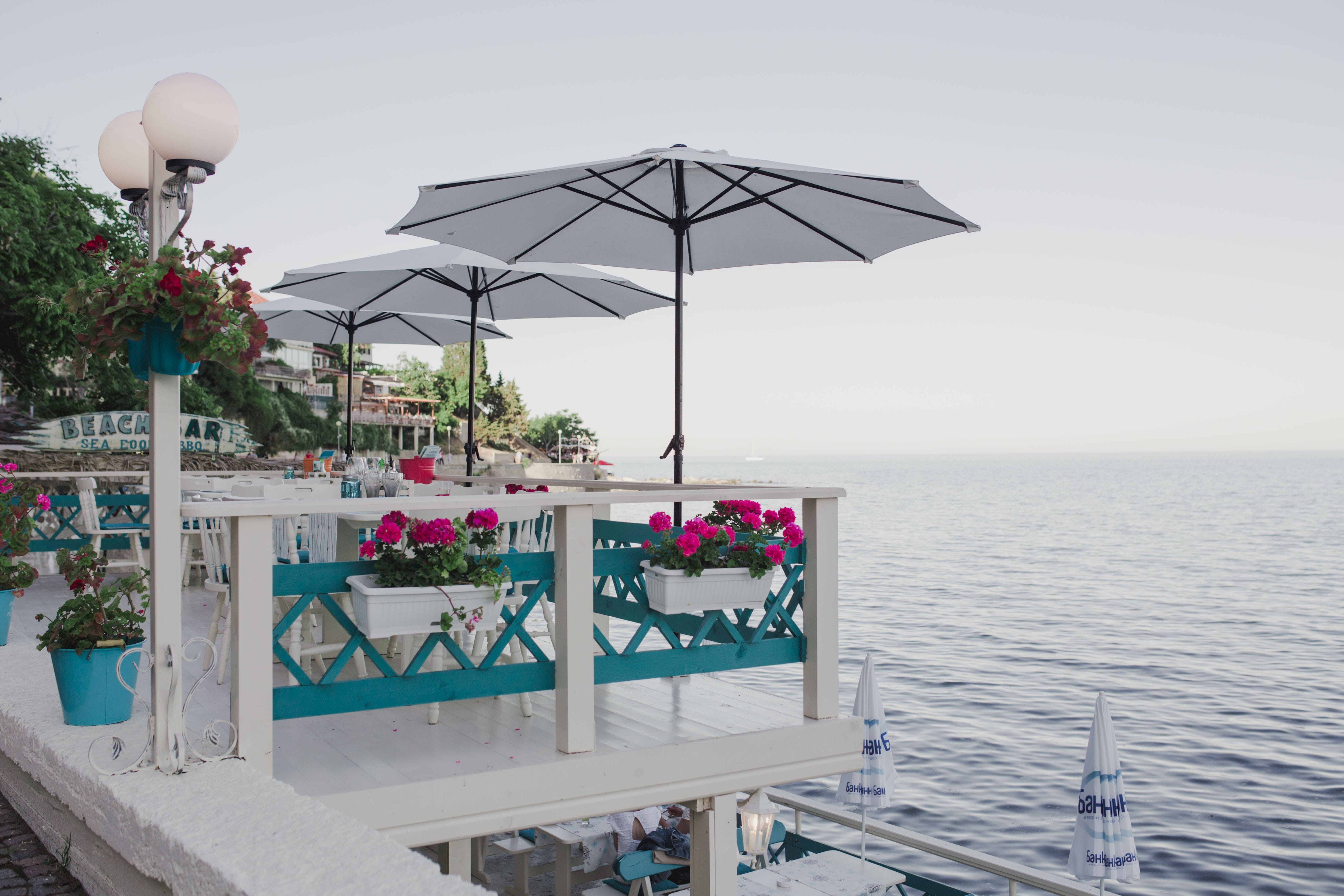 swimming pool, Restaurants, sea, old, sky, beach, no People, plant, summer, travel Destinations, old town, luxury, day, flower, travel Locations, outdoors, HD Wallpaper