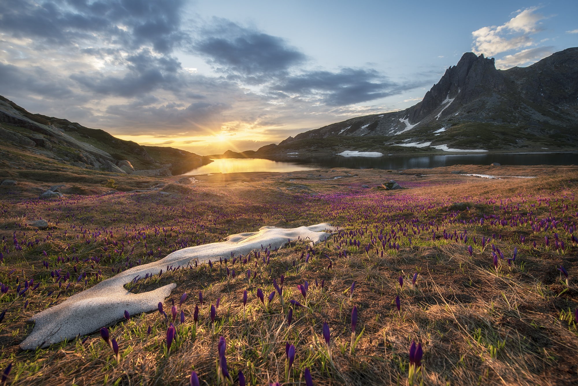 Bulgaria, sunrise, spring, rocks, lake, 1080P, Rila, crocuses, HD Wallpaper