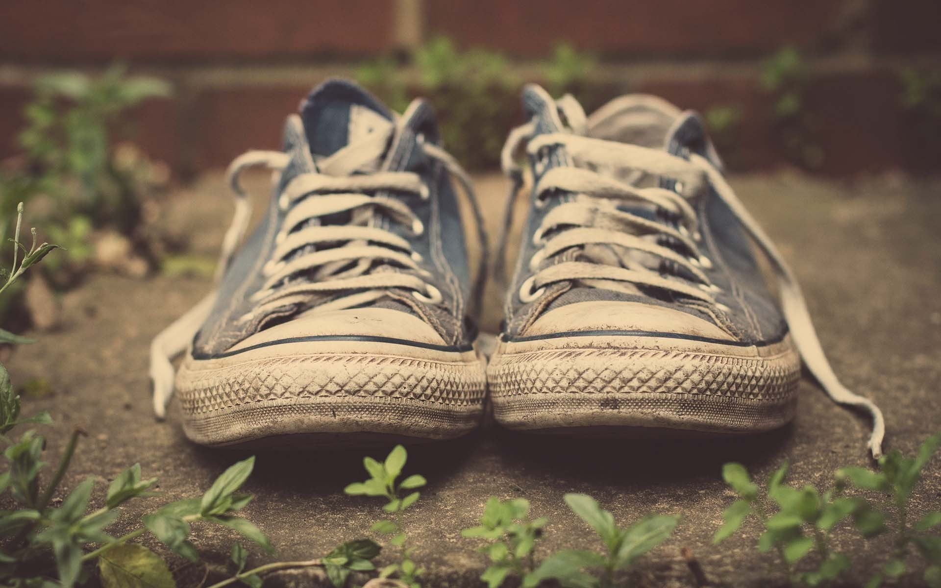 plant part, white, close-up, lace - fastener, low, personal accessory, blue, top, compatibility, no people, absence, dirt, day, leaf, growth, shoe, still life, HD Wallpaper