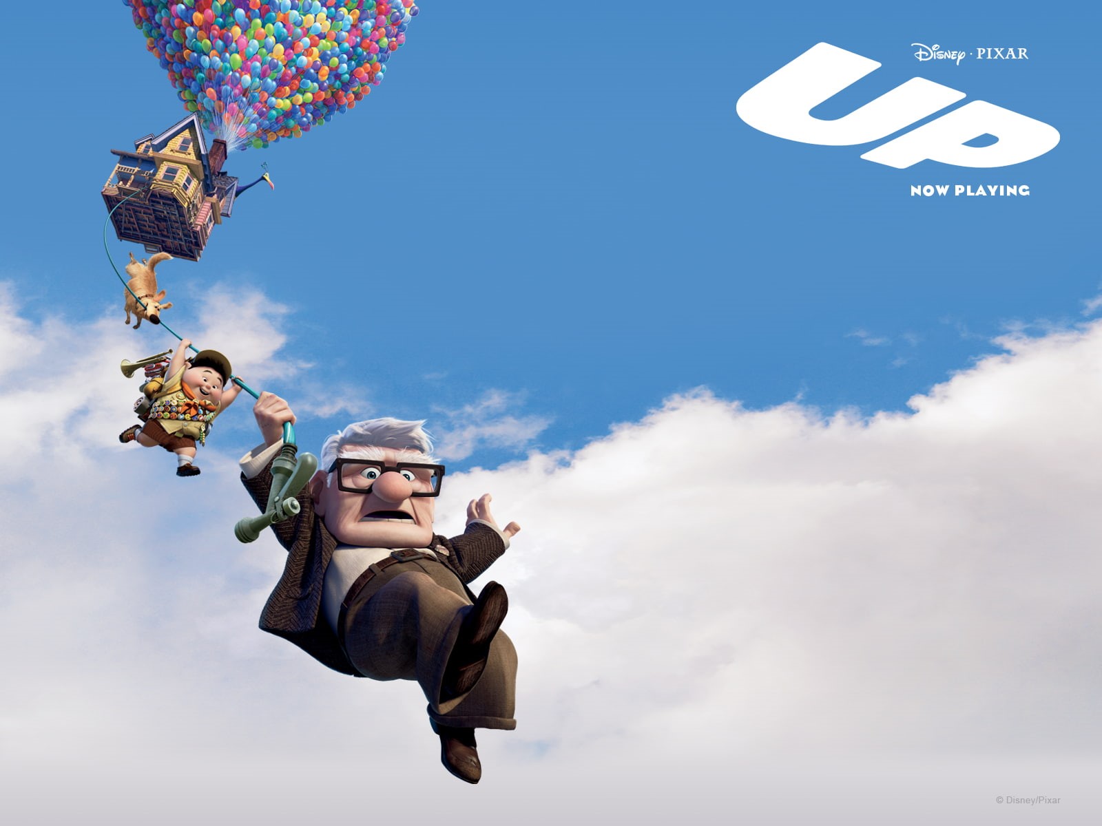 official, 039, movie, up, 720P, pixars, hd, movies, pixar, 2009, s, HD Wallpaper