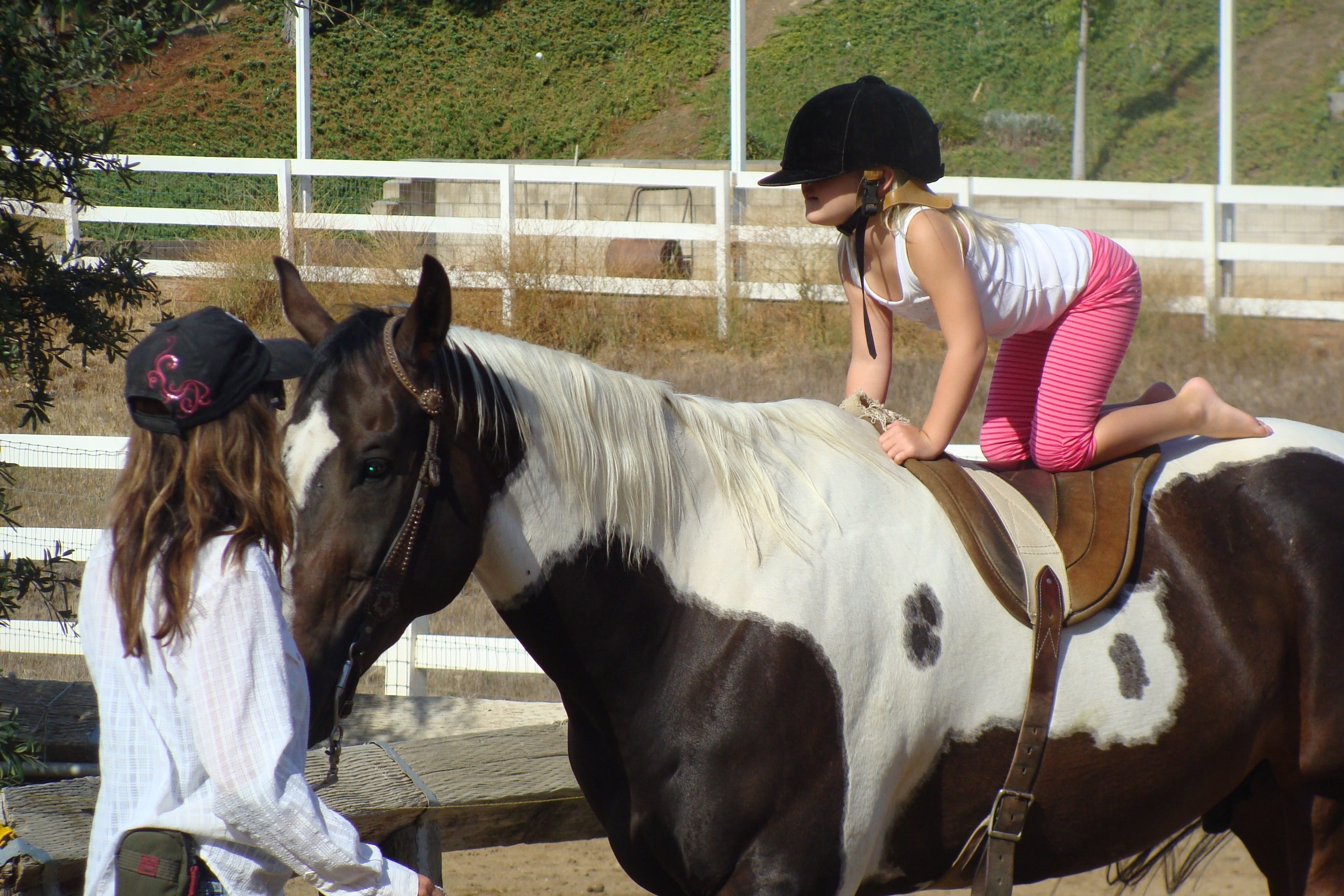 horse, standing, domestic animals, animals And Pets, back in front, pets, little, happy, rural, livestock, jockey, horseback Riding, outdoor, women, riding, HD Wallpaper