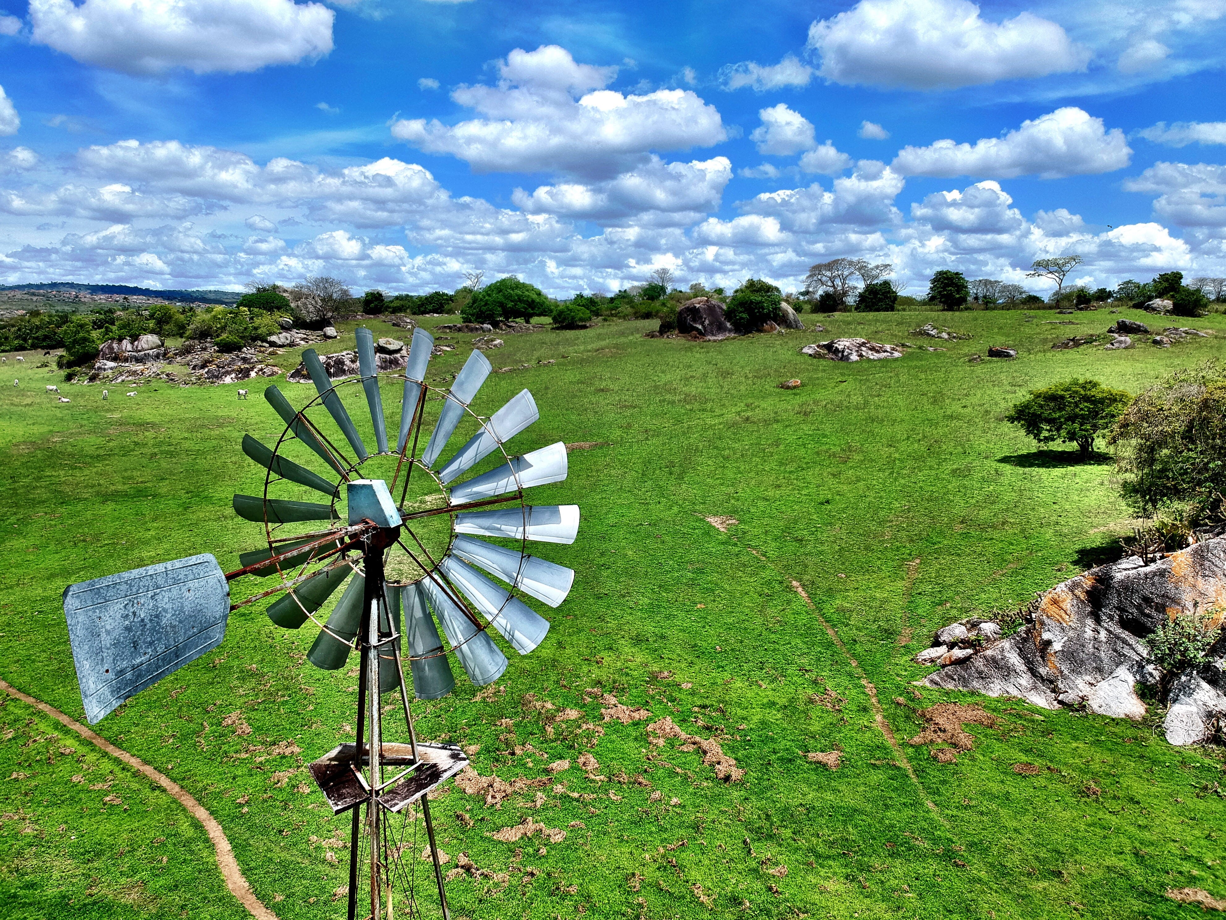 field, aerial view, no people, top view, day, water, tranquil scene, 4K, landscape, renewable energy, cow, blue sky, growth, plant, sky, drone view, campina grande, HD Wallpaper