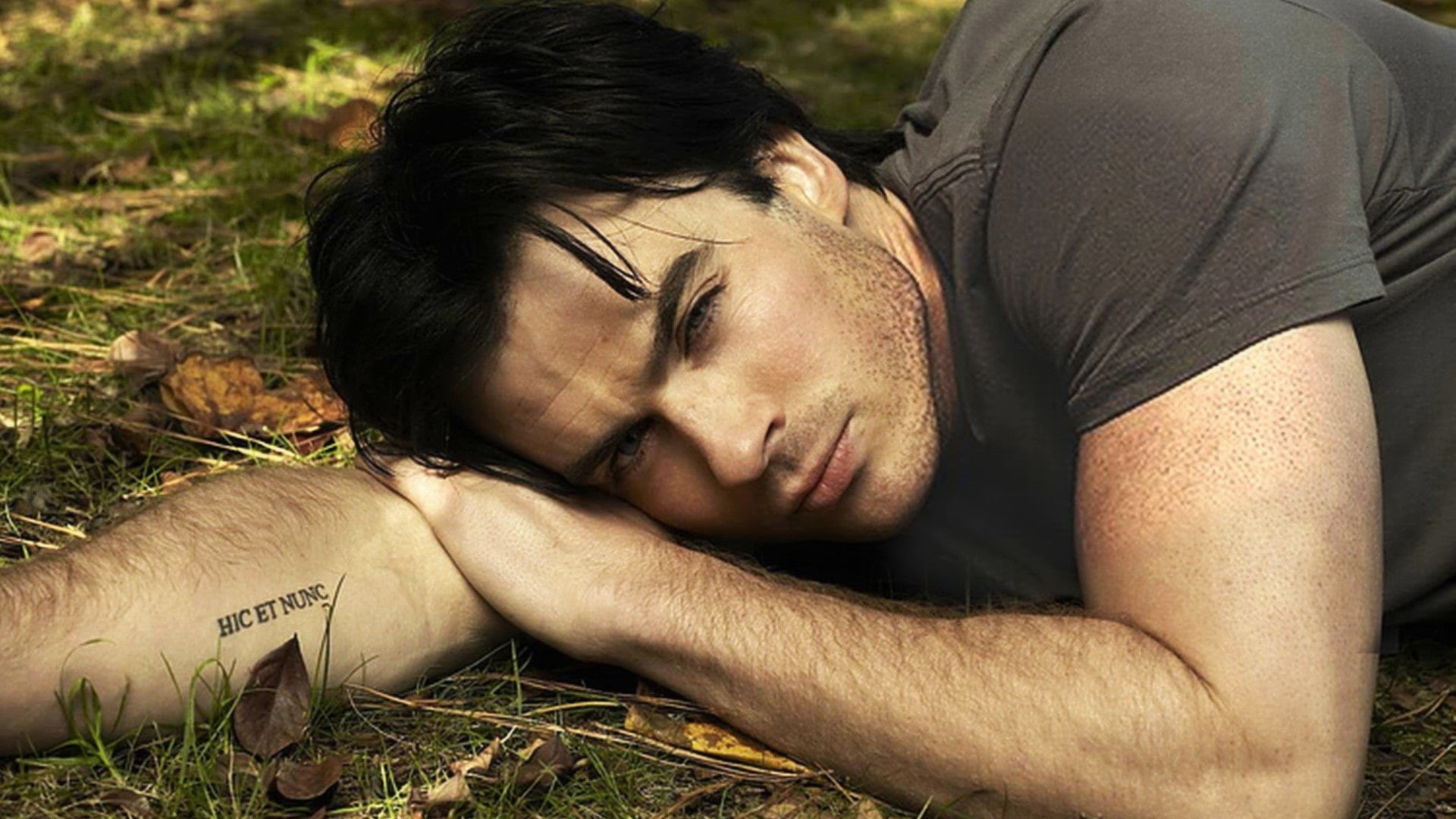 t, shirt, 1080P, gray, ian, s, manly, crewneck, men, somerhalder, HD Wallpaper