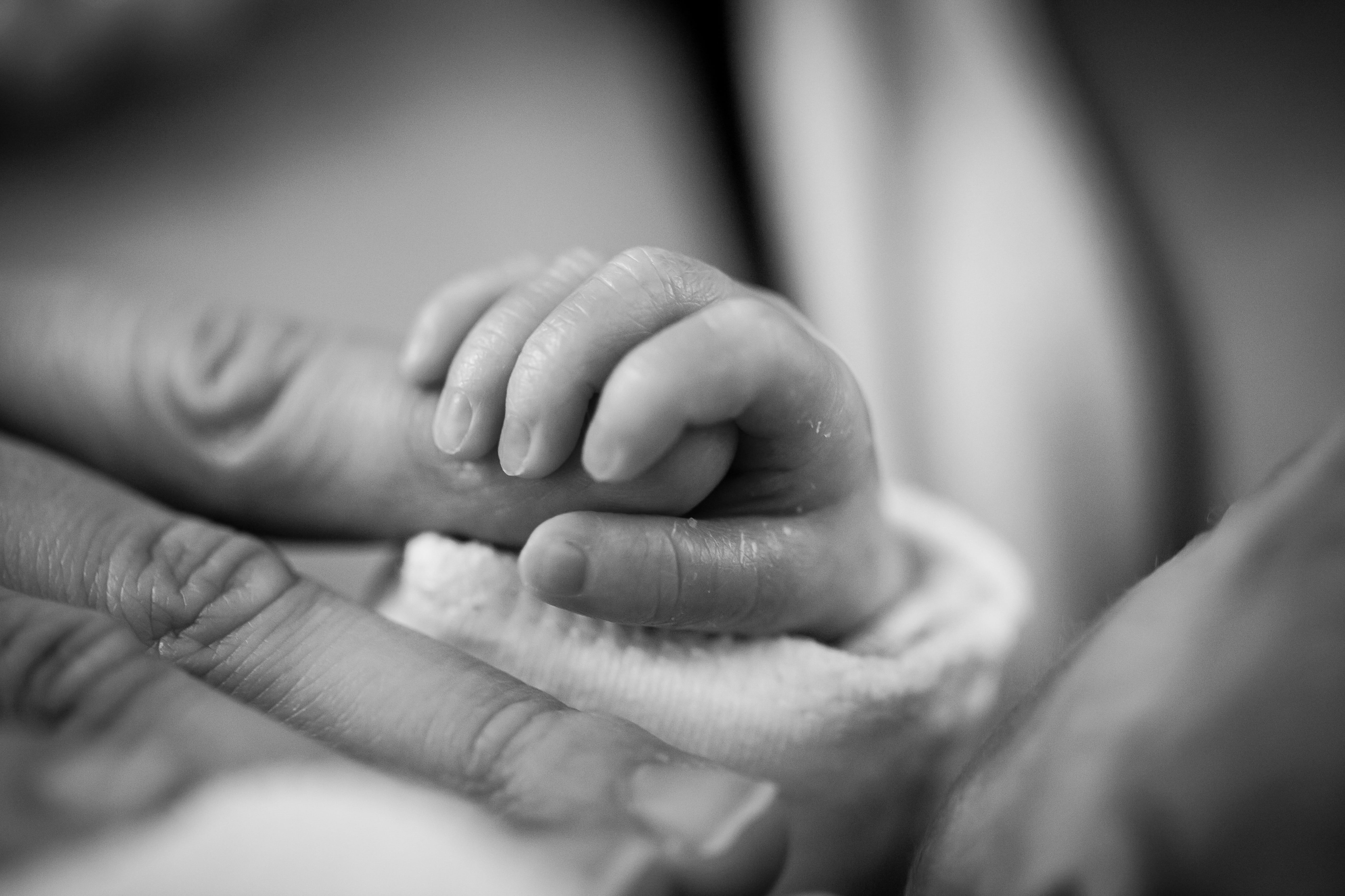 son, adult, two people, new Life, stork, believe, young, care, human foot, human Hand, affectionate, preemie, tender, photo, grayscaled, birth, positive emotion, HD Wallpaper
