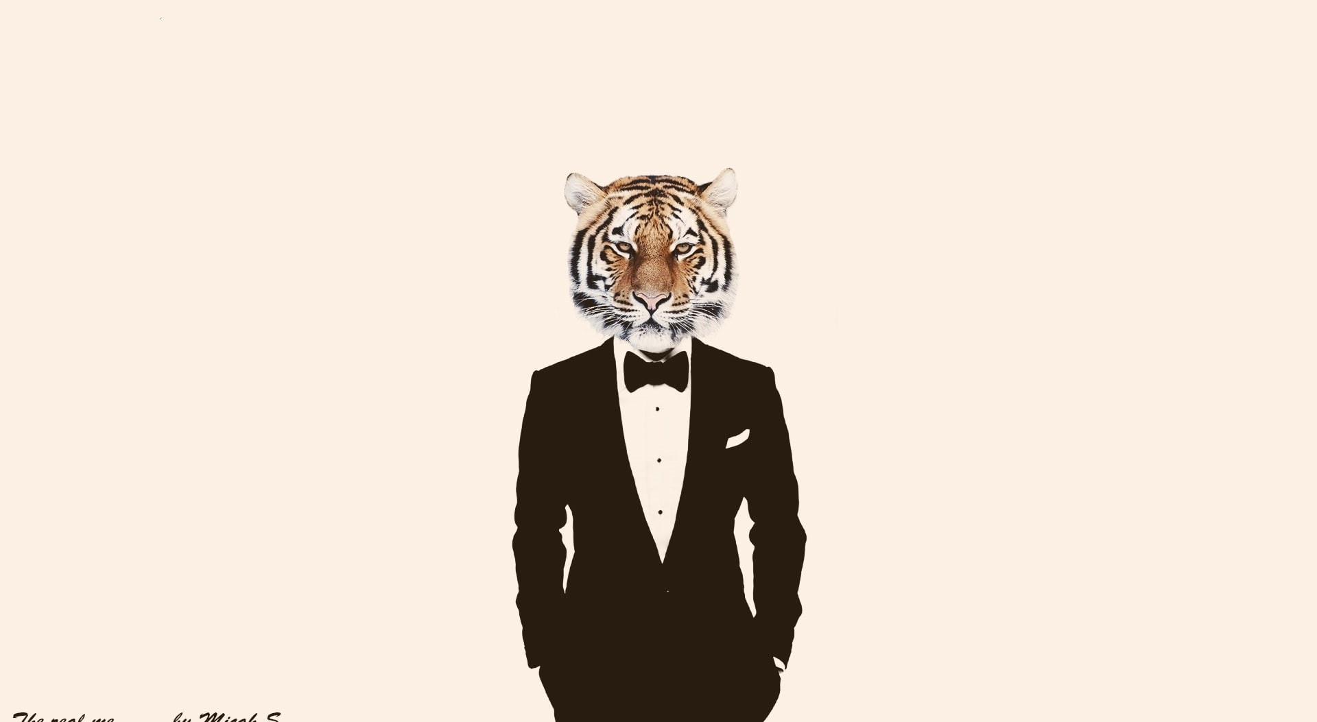 funnyreal, obscured face, Creative, man, Aero, Wild, front view, looking at camera, black, digital composite, bizarre, indoors, tiger, business, animal, HD Wallpaper