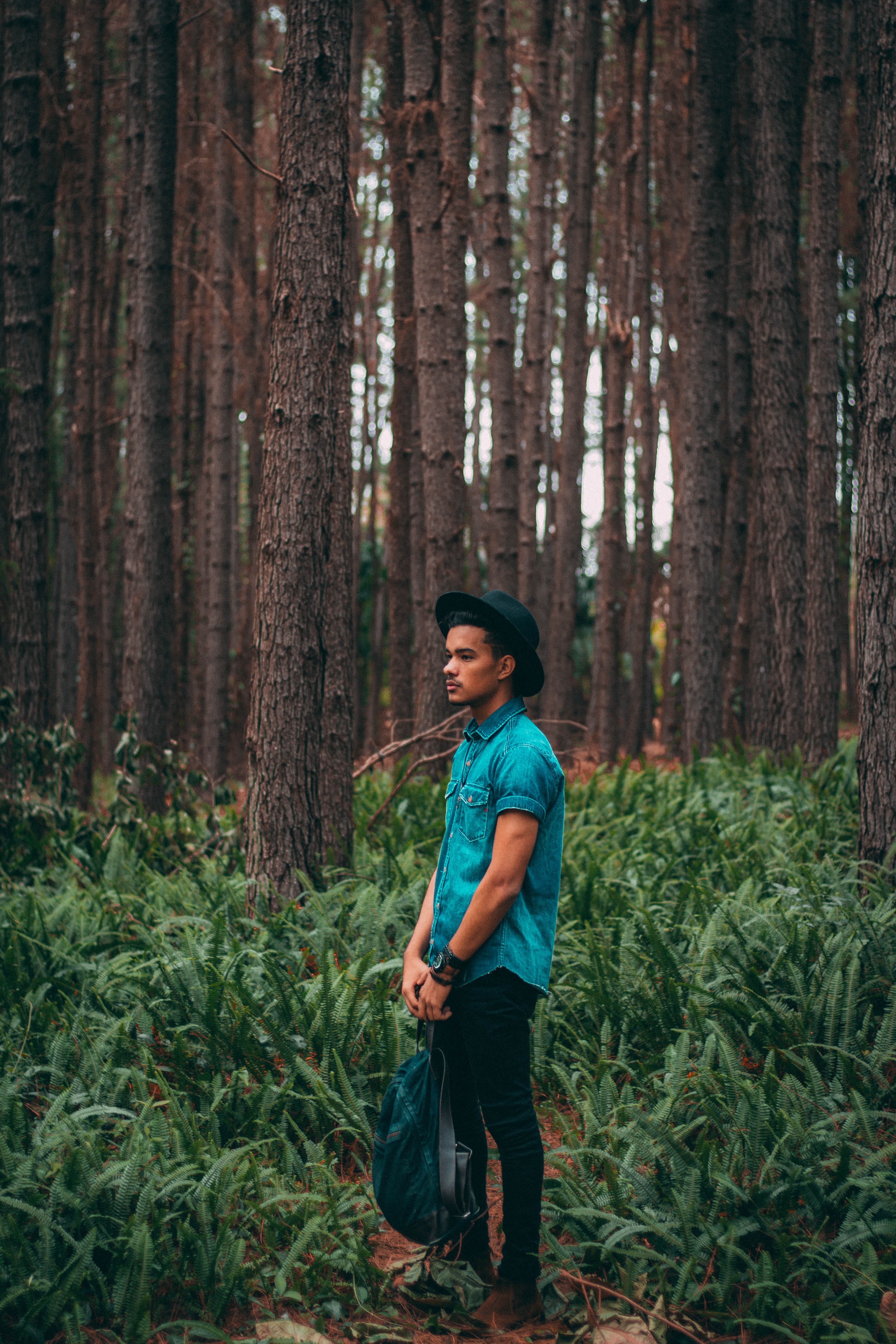 nature, 5K, one Person, middle, man, males, real people, forest, day, tree, holding, western, land, fedora hat, hairstyle, casual clothing, plant, black, Phone HD Wallpaper